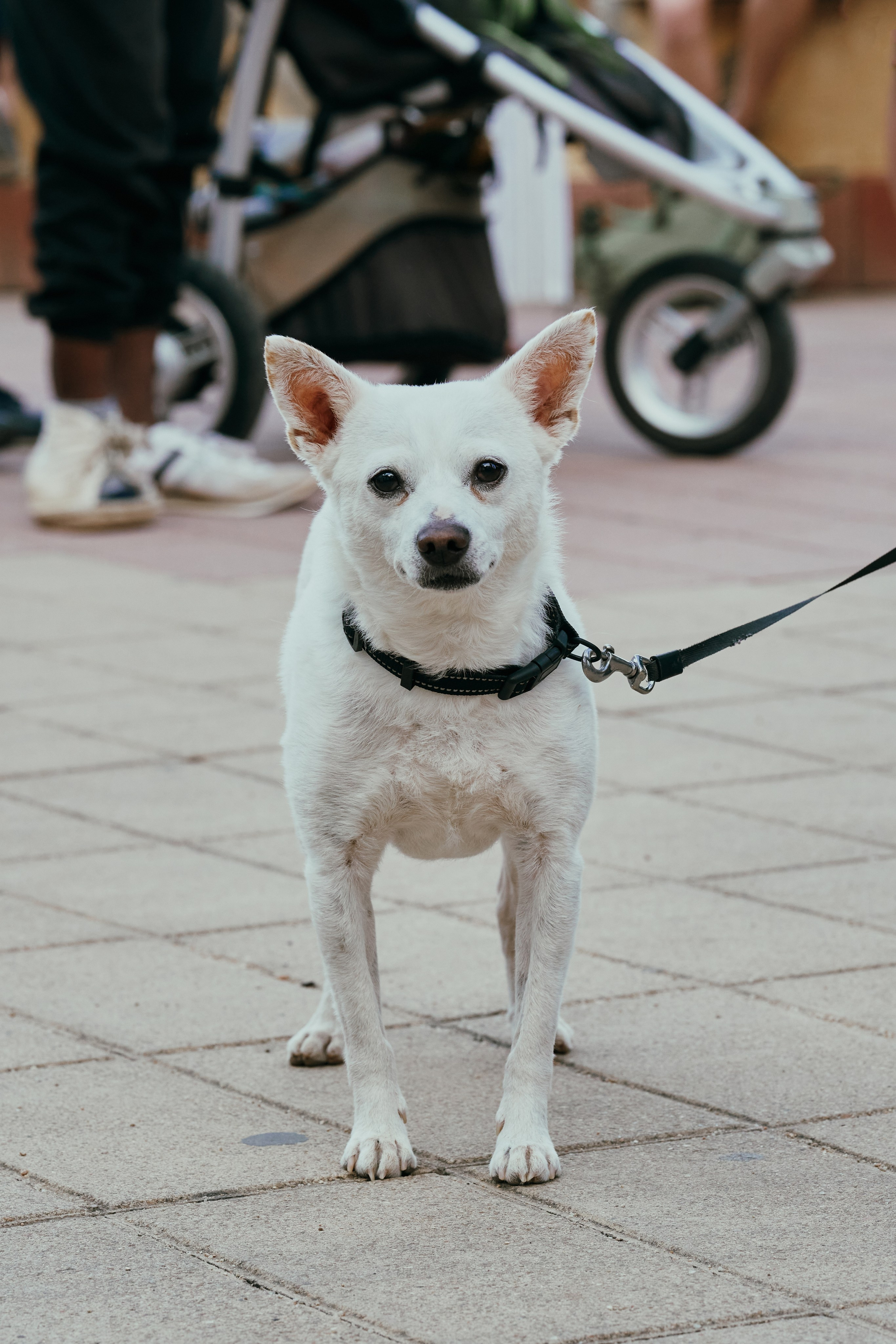 Фестиваль МОНОЛИТ. Фотограф в Барселоне Жанна Захарченко