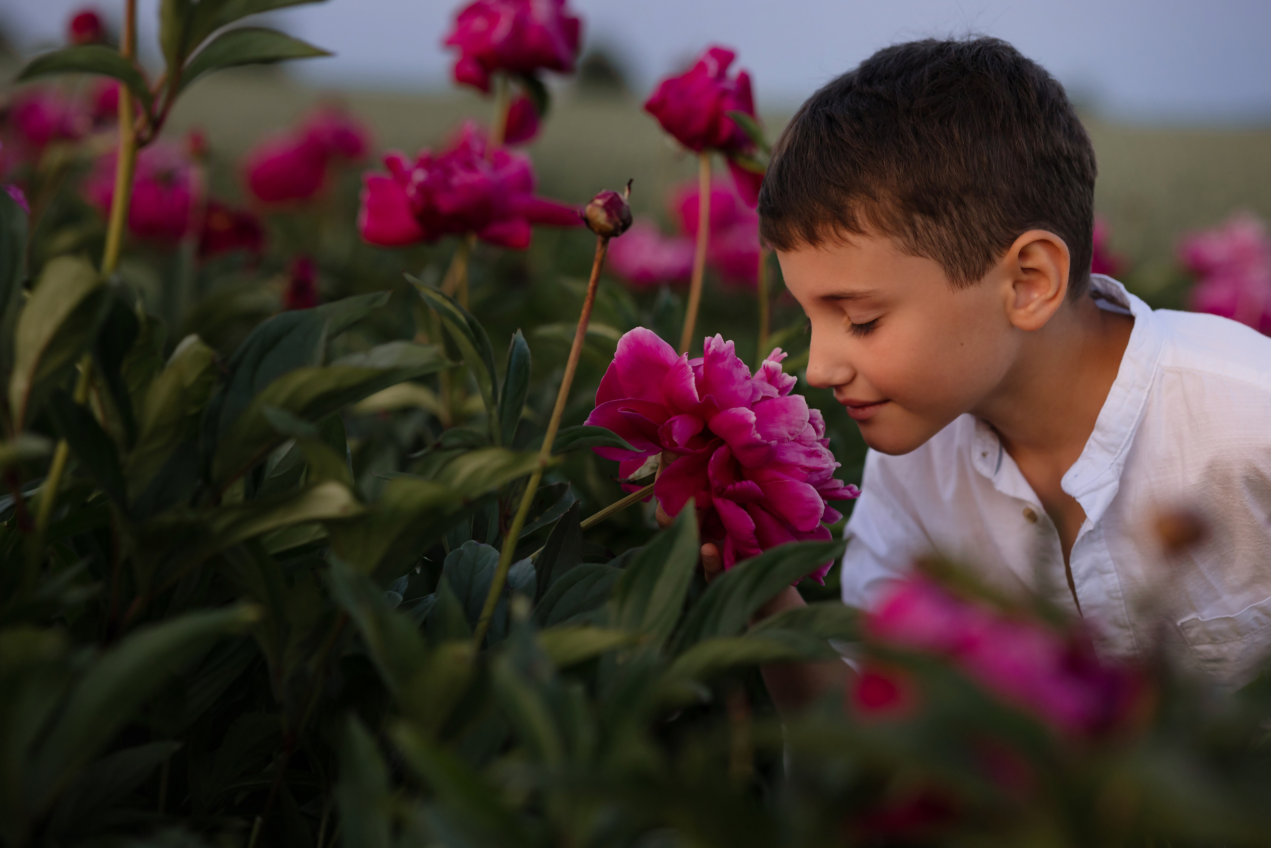 Kinder. Kinder- und Familienfotografin