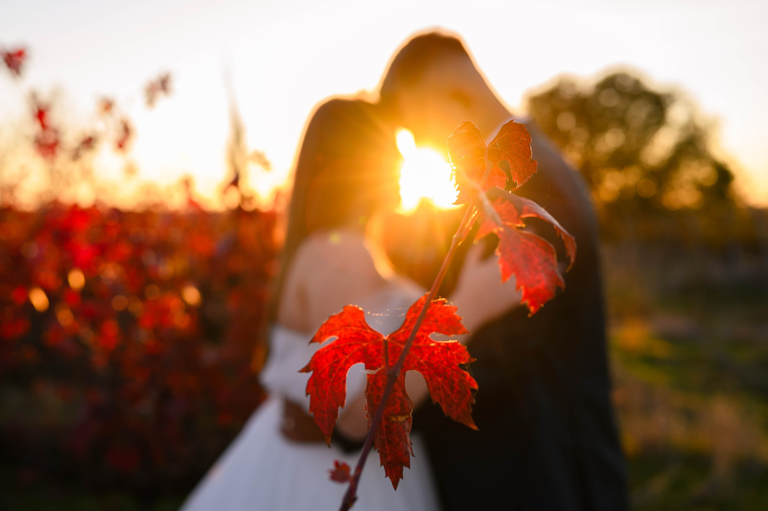 Trash the dress. Ligiafoto.ro