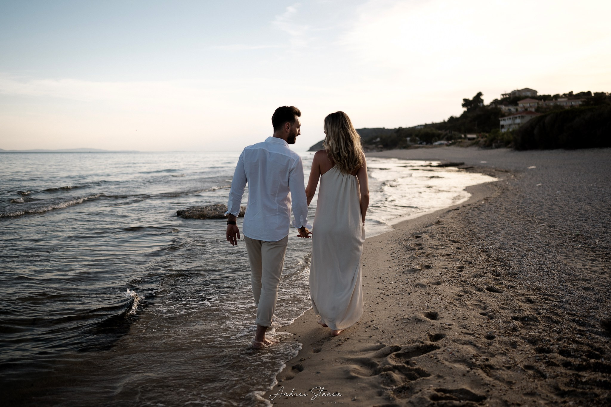 Preset Shop. Andrei Stanea