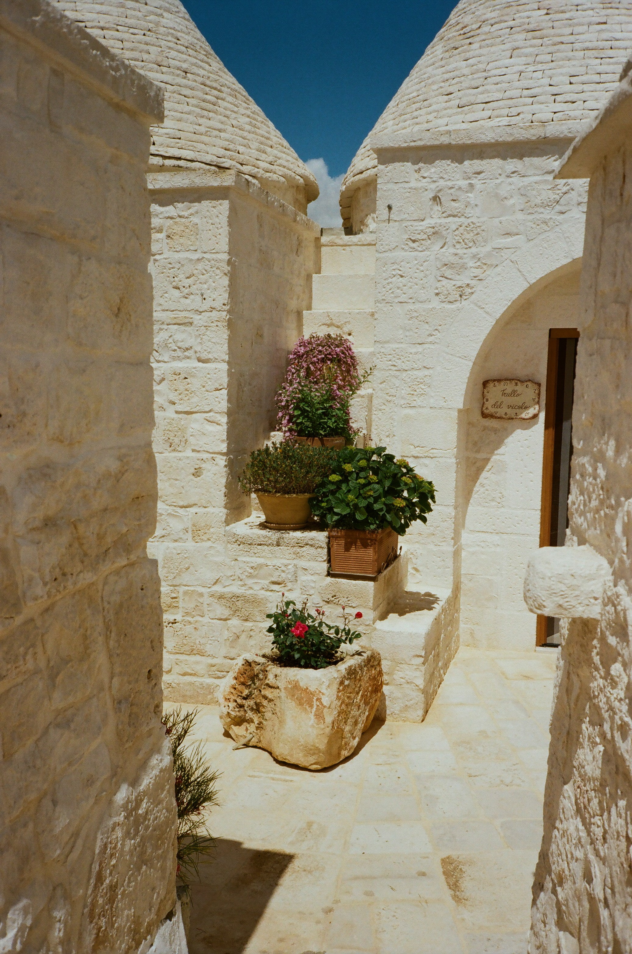 Stephanie & Christian film photos. Wedding photographer Italy