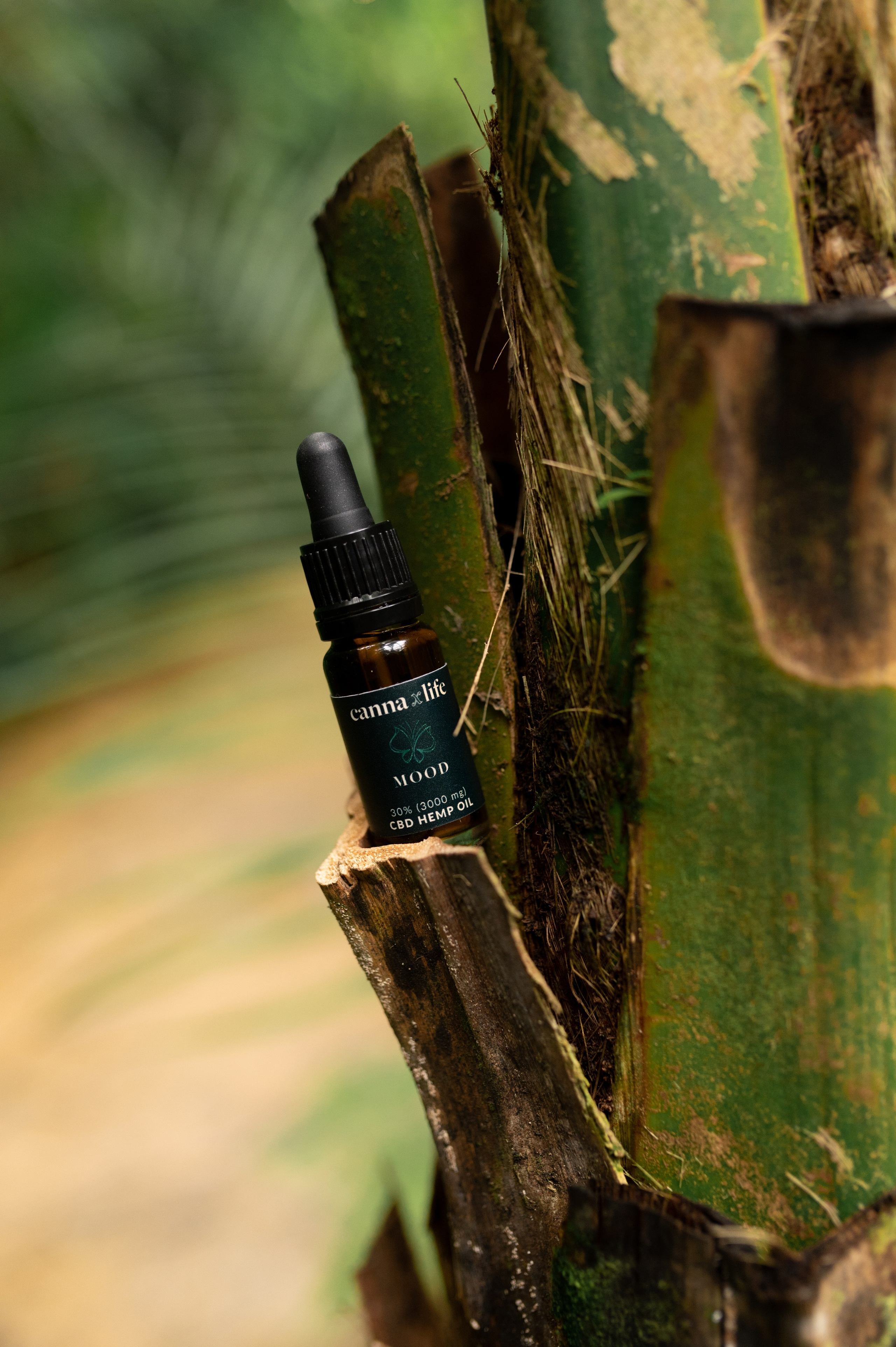 CannaXlife CBD products. ANNA-MARIA PHOTO CONTENT CREATOR — фотограф, естет, художник і візуальний експерт Instagram у Празі