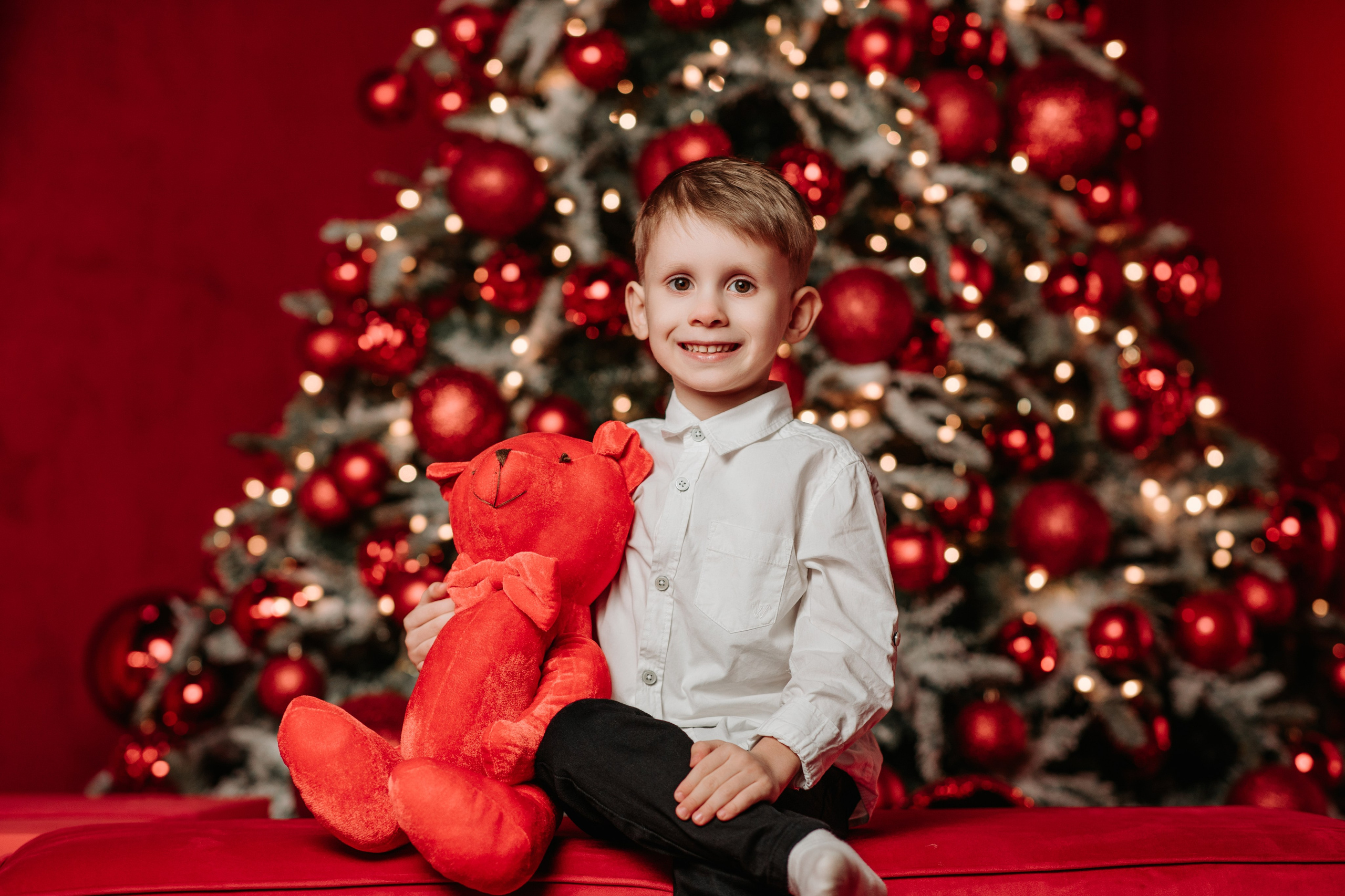 Christmas Time. Wedding, Family Photographer