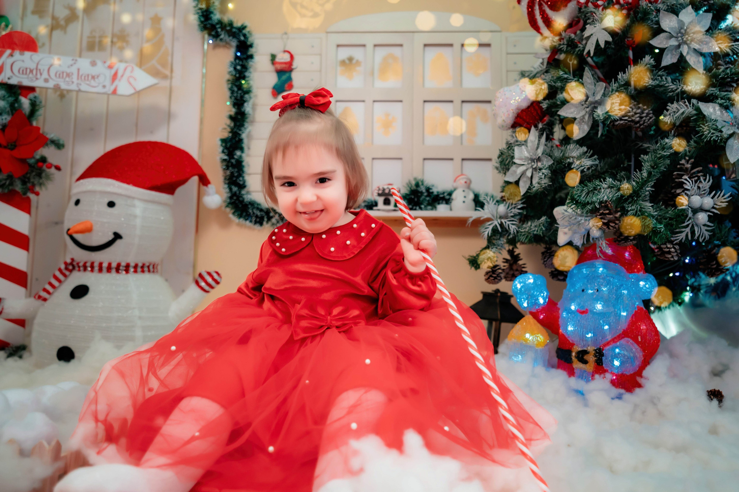 Sedinta Craciun Nicoleta