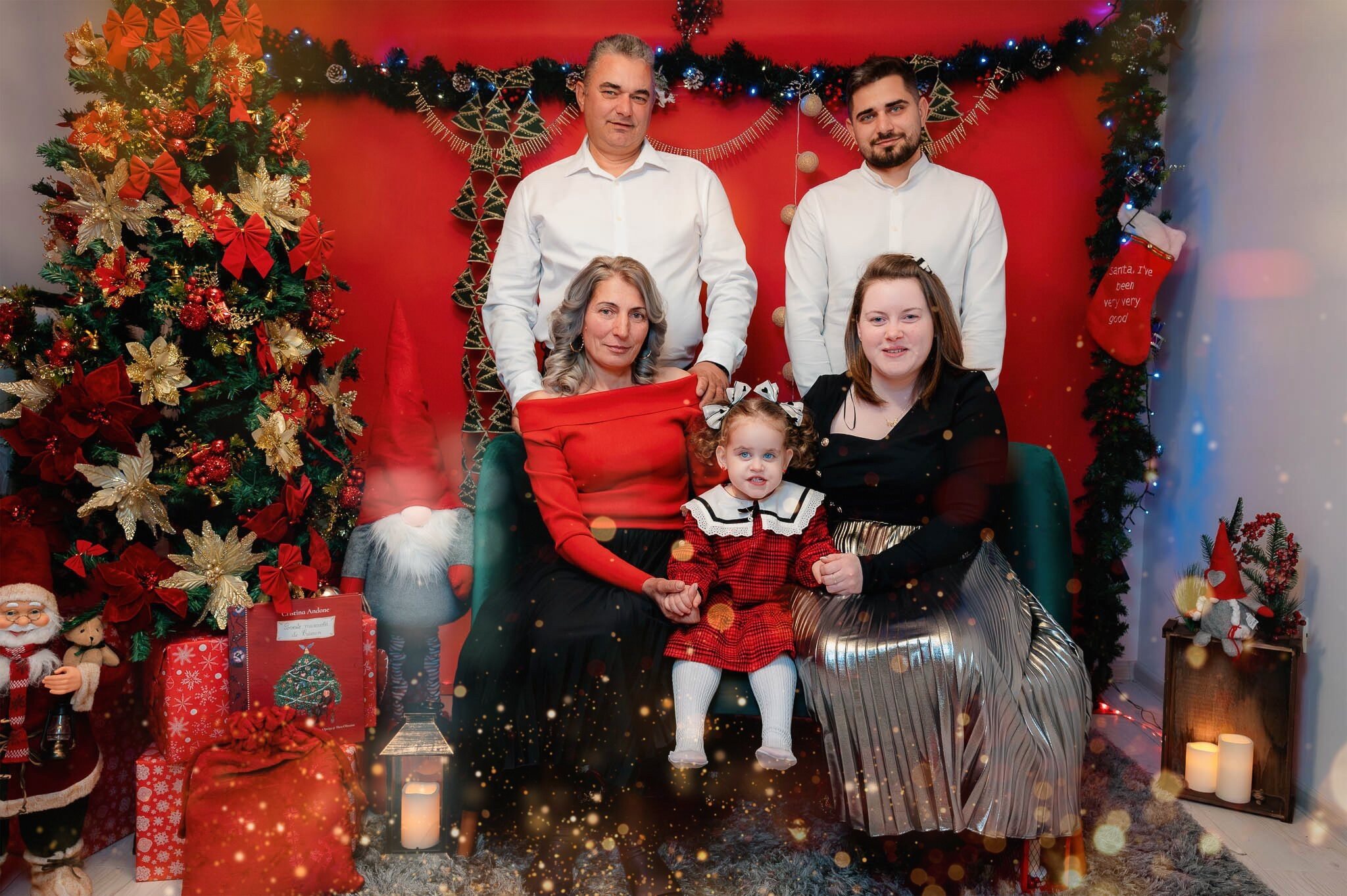 Sedinta Craciun Ioana