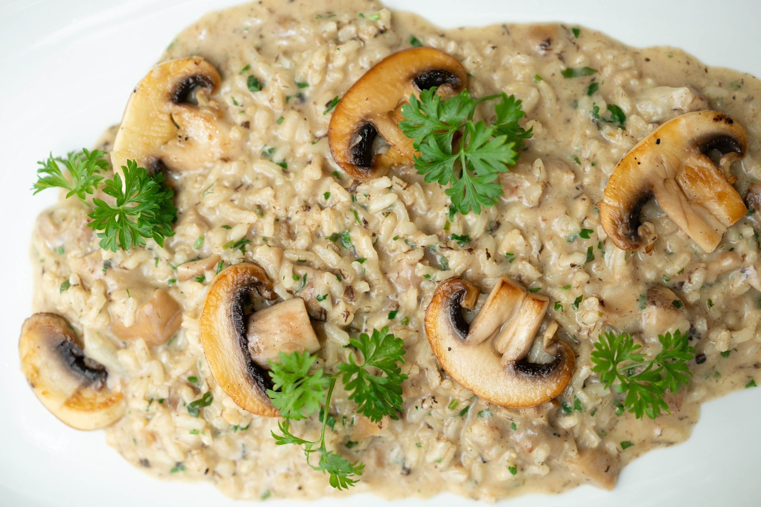 Restaurant Marbella costa del sol restaurante. Photo and video service in Malaga-Marbella-Estepona