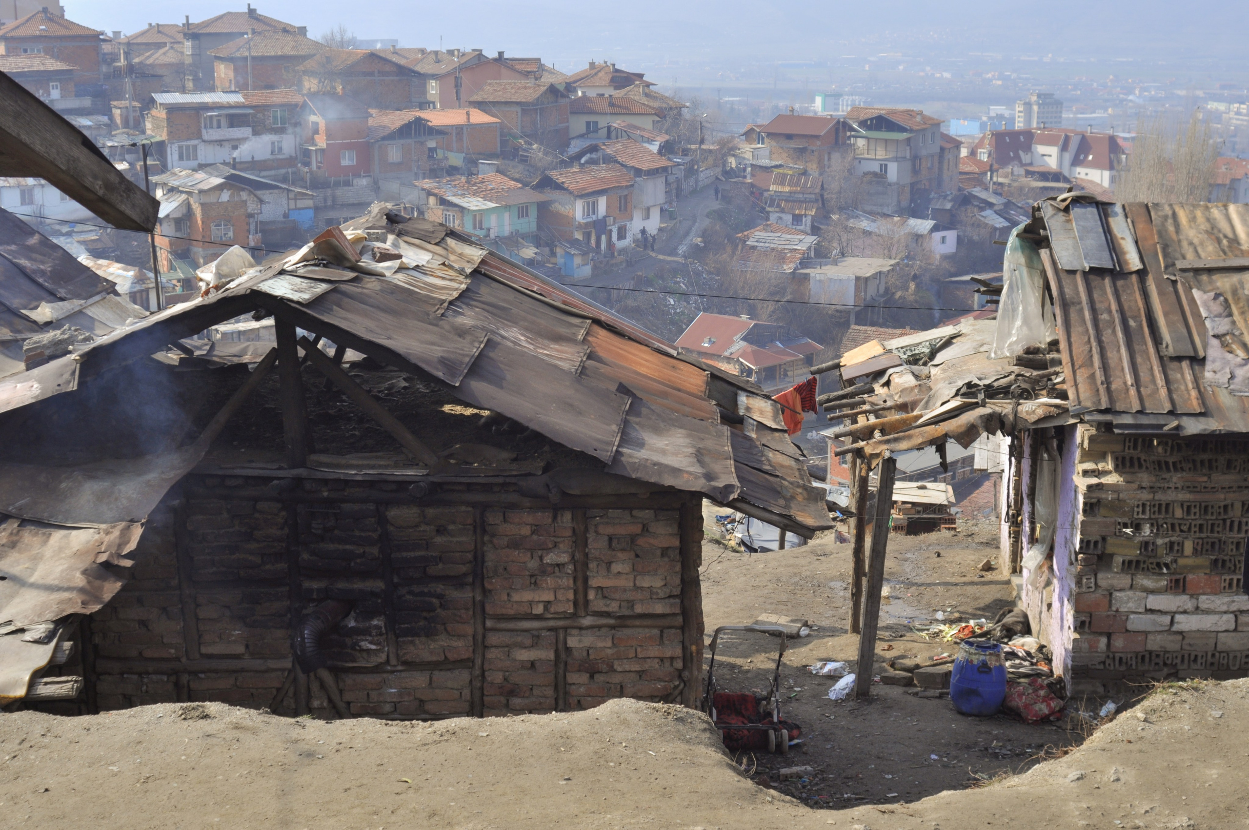 Hope for Cherry Blossom. Mayya Kelova artist