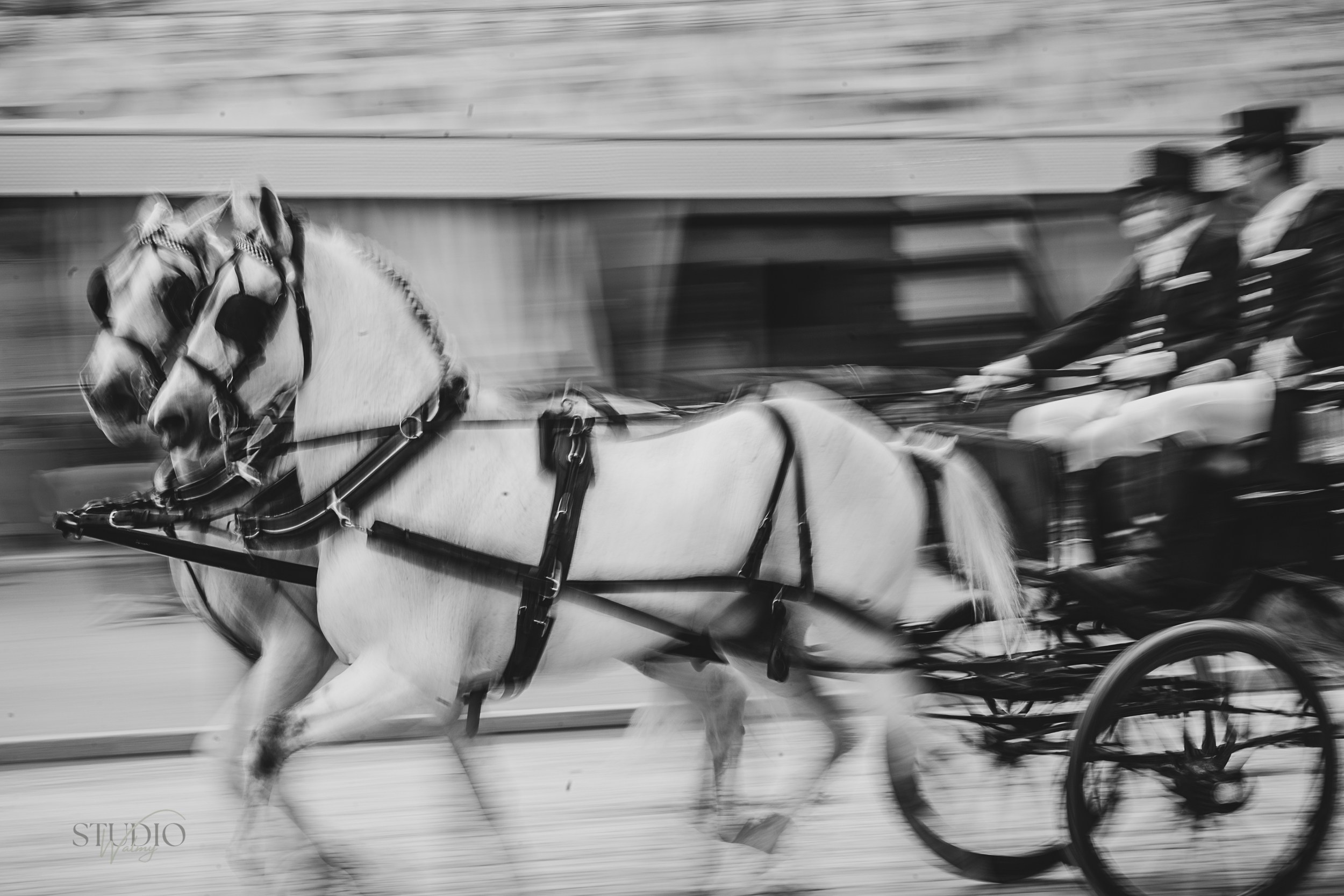 Sesión de fotos en feria de Abril de Sevilla. Inicio