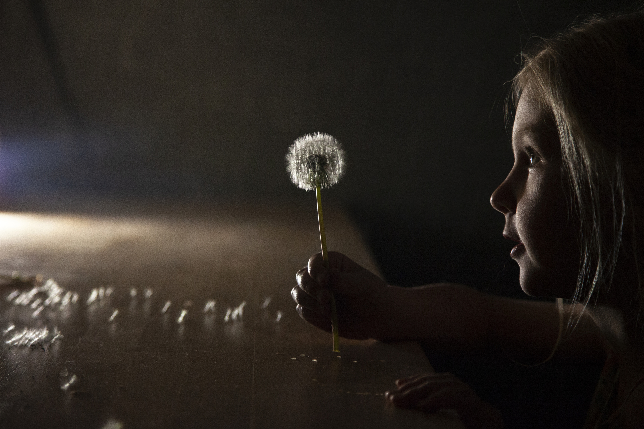 ART FREESTYLE. Nina Janeckova Photographer and Videographer in Bodensee Ravensburg