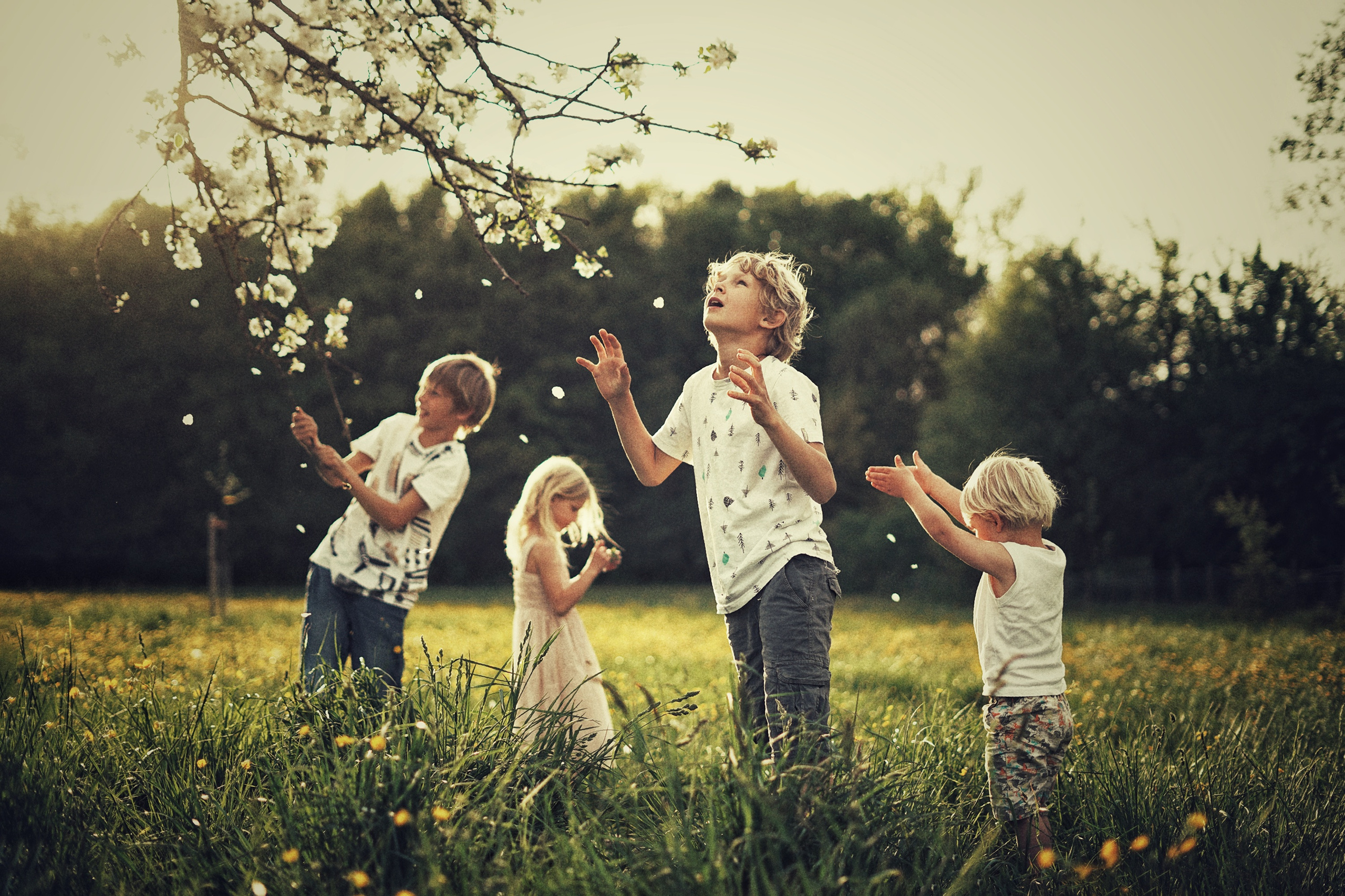 Nina Janeckova Photographer and Videographer in Bodensee Ravensburg