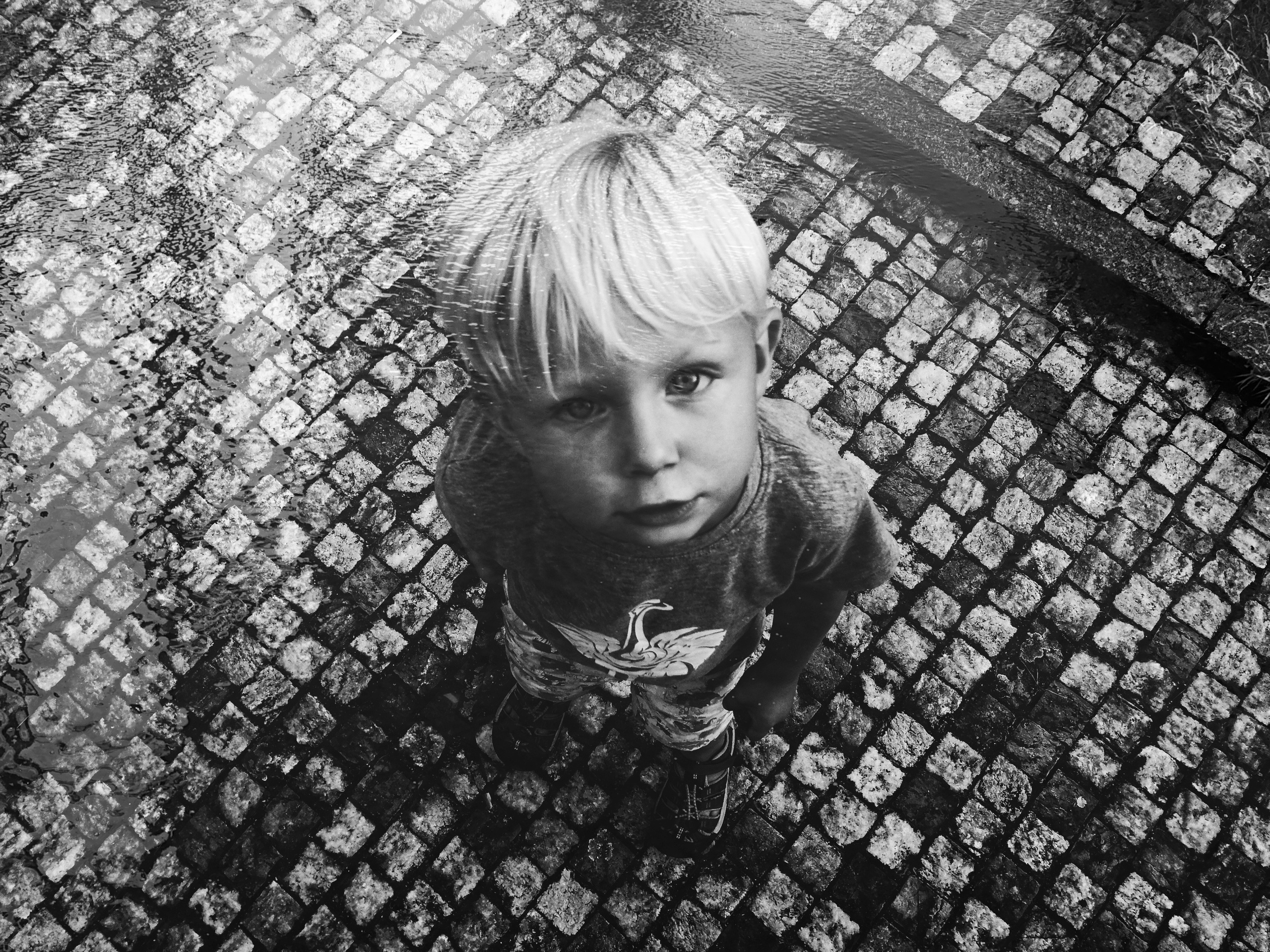 Mobilography. Nina Janeckova Photographer and Videographer in Bodensee Ravensburg