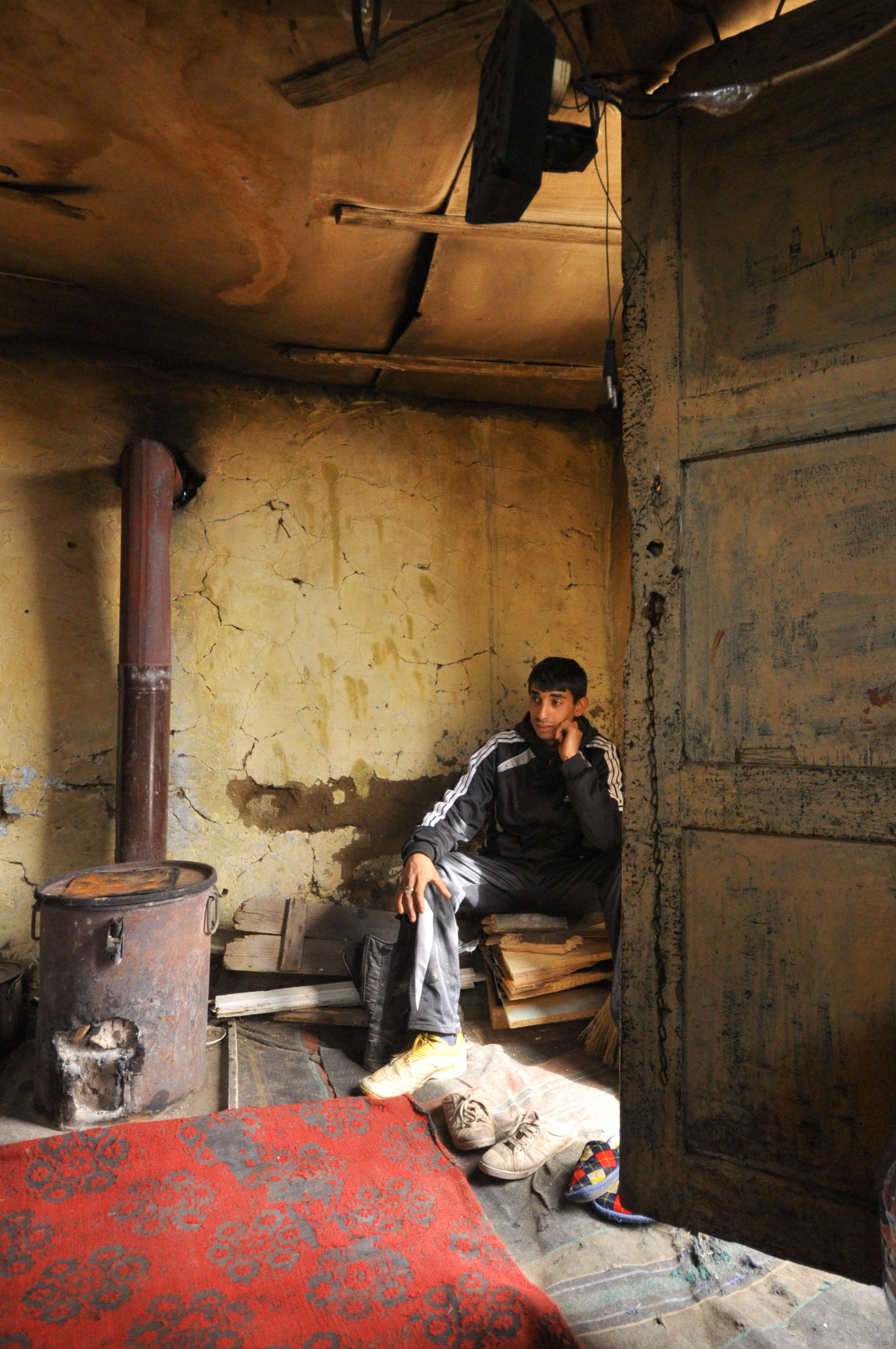 Hope for Cherry Blossom. Mayya Kelova artist