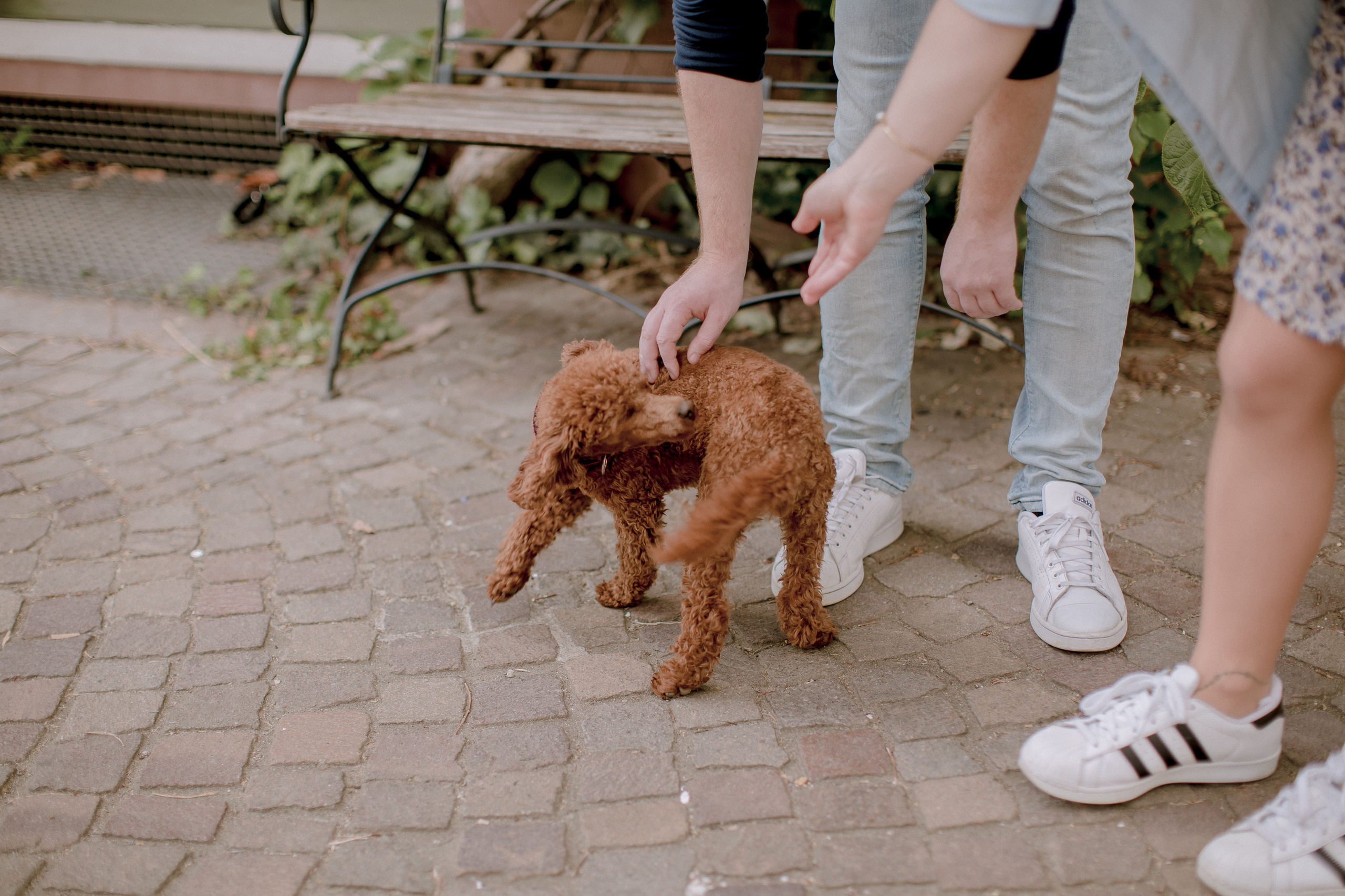 Love story в Карлсруэ. Фотограф в Германии — Мария Чистякова