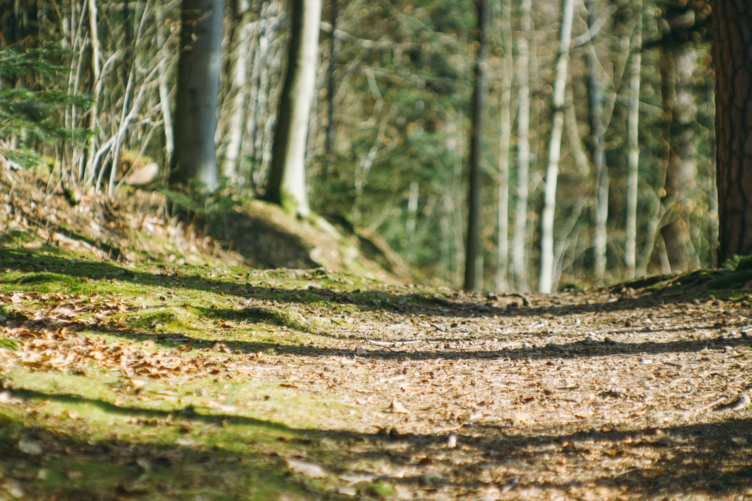 Весенняя фотосессия в Баден-Бадена. Фотограф в Германии — Мария Чистякова