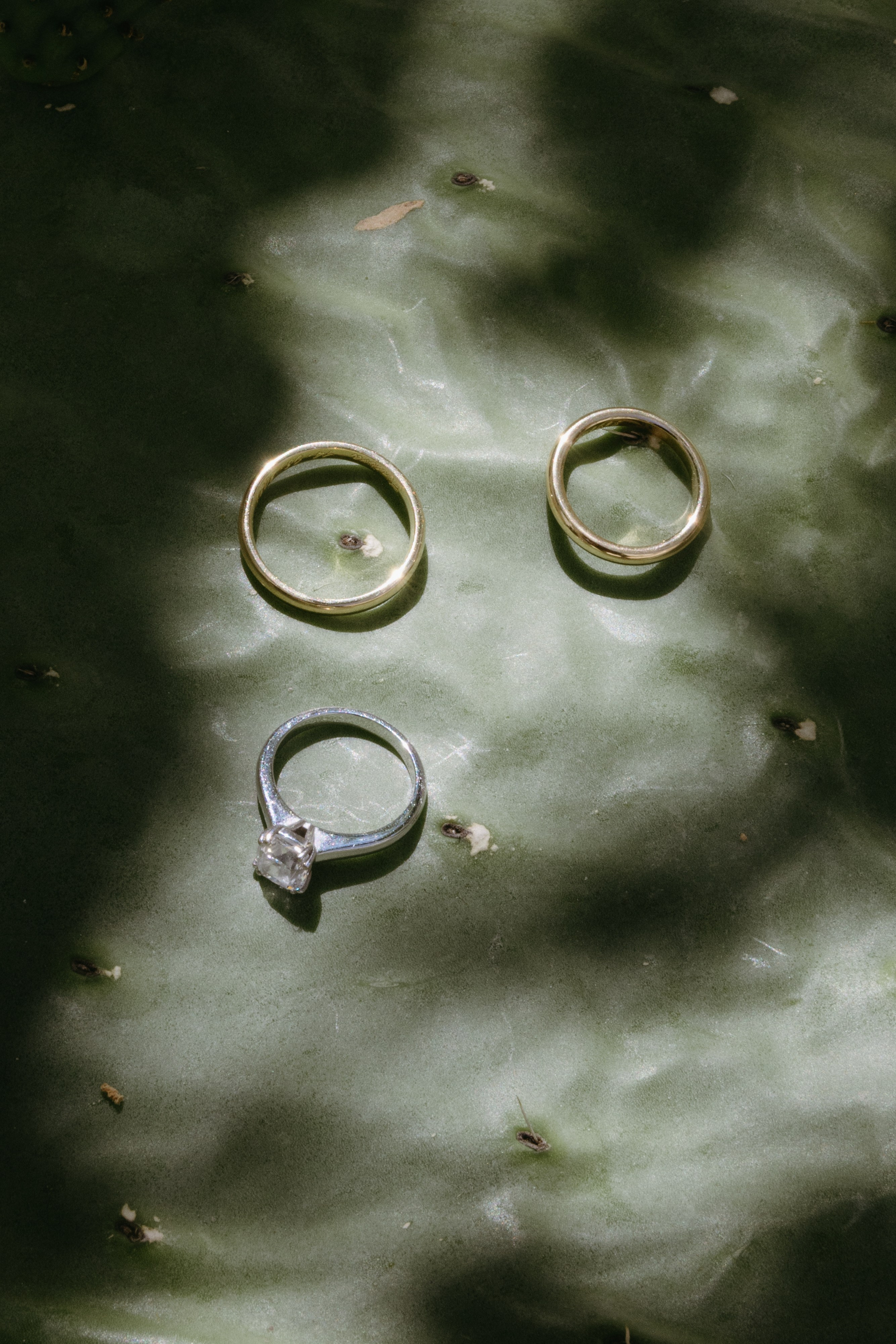 Wedding photographer Italy