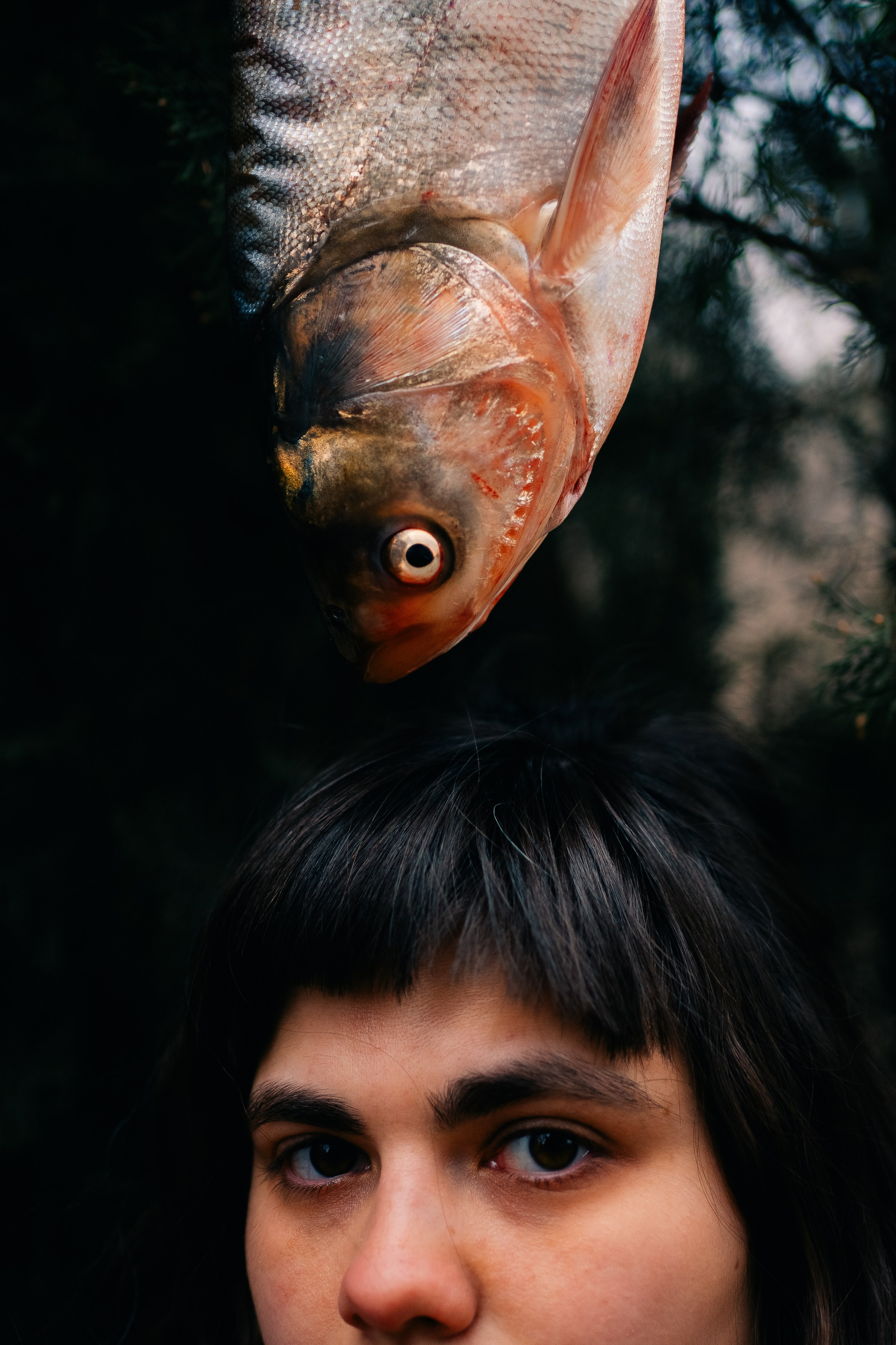 Masha. Мария Шер. Профессиональный фотограф в городе Порту, Португалия