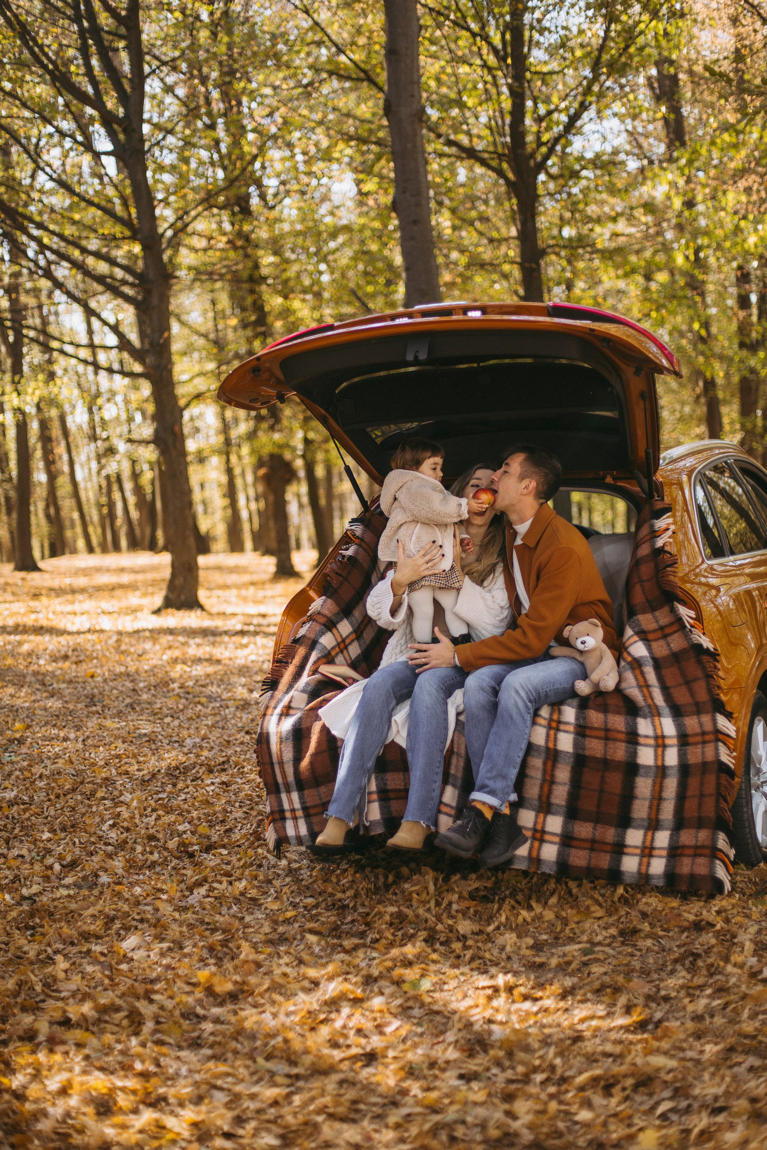 Pricop. Fotograf București, România