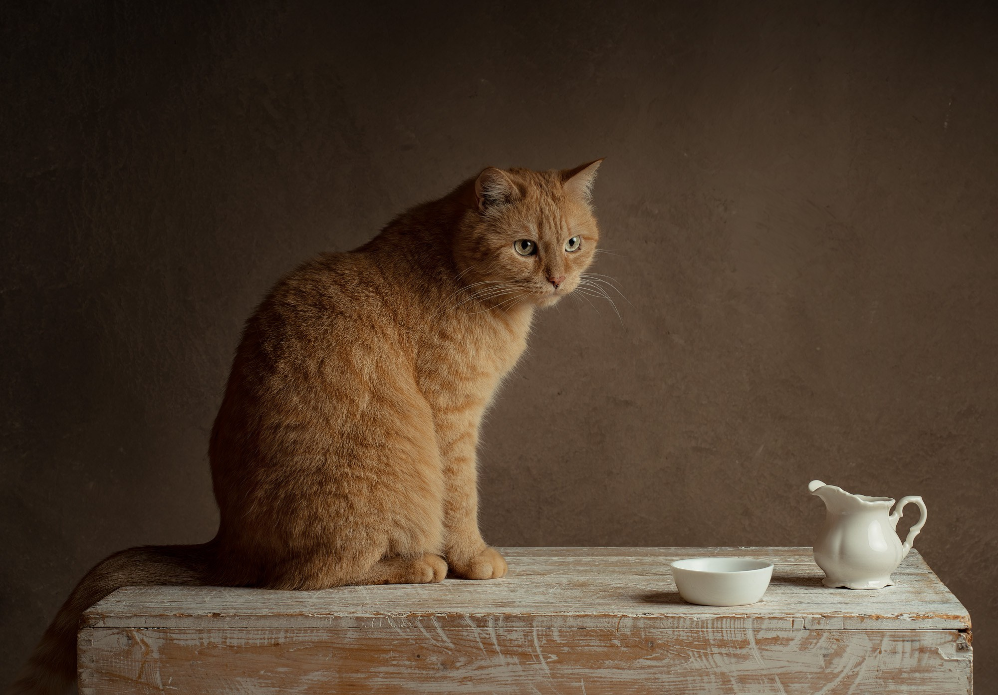 Anzhelika Costin fine art Porträts und Familien Fotografie in Fulda