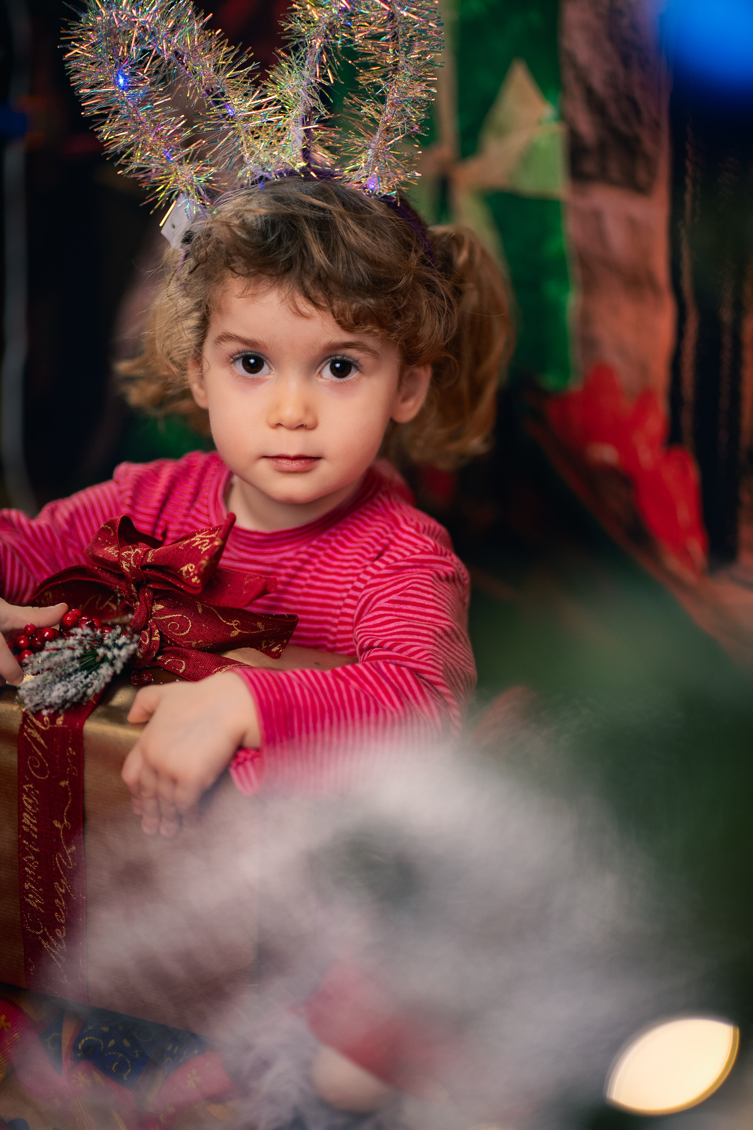Sedinta foto Craciun — Gradinita Miniterra. Liviu Andrei - Fotograf