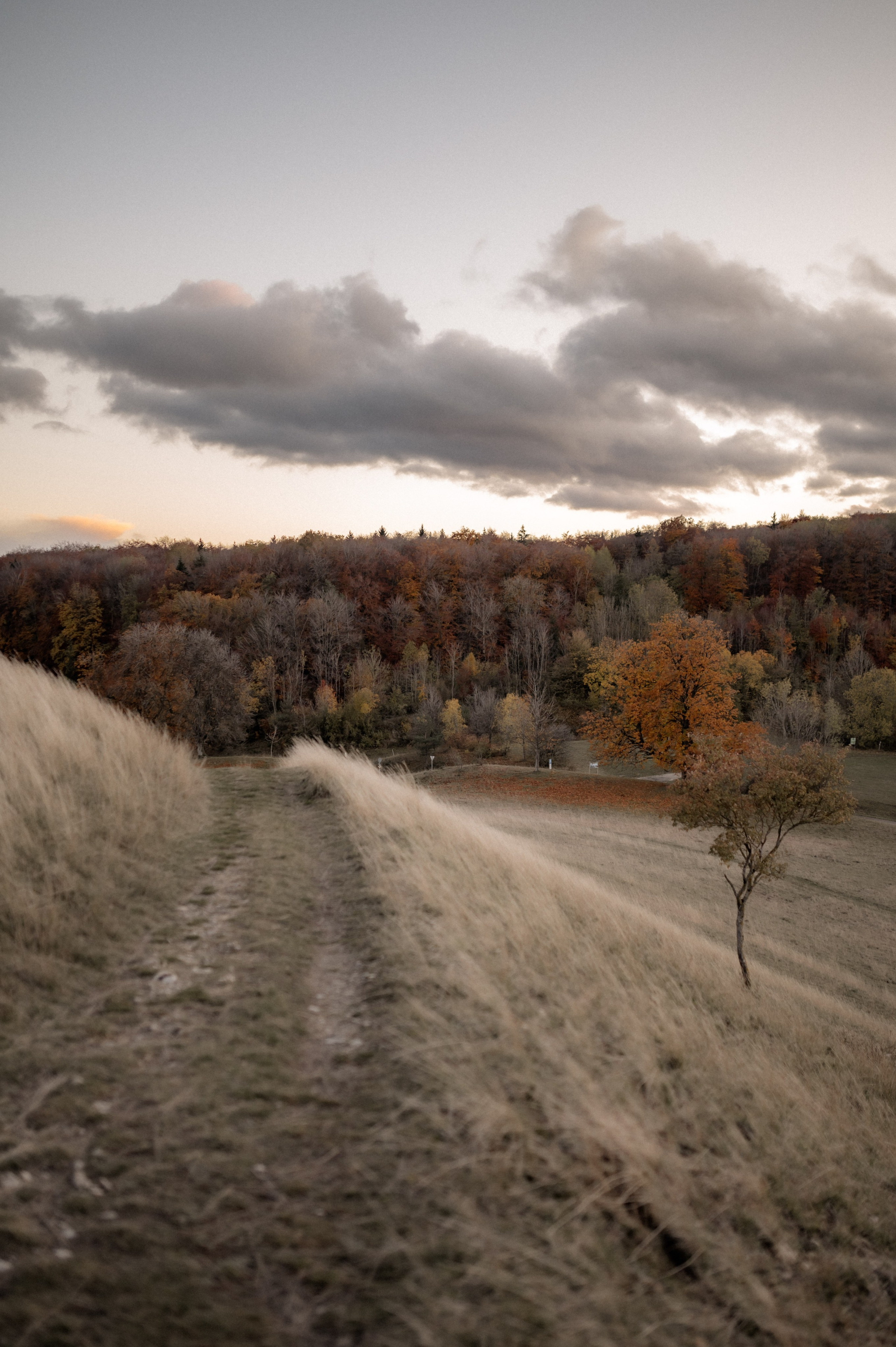 Wenn der Wind flüstert | Paarshooting am Gelben Berg. Фотограф в Нюрнберге Ирина Менерт из Ансбаха