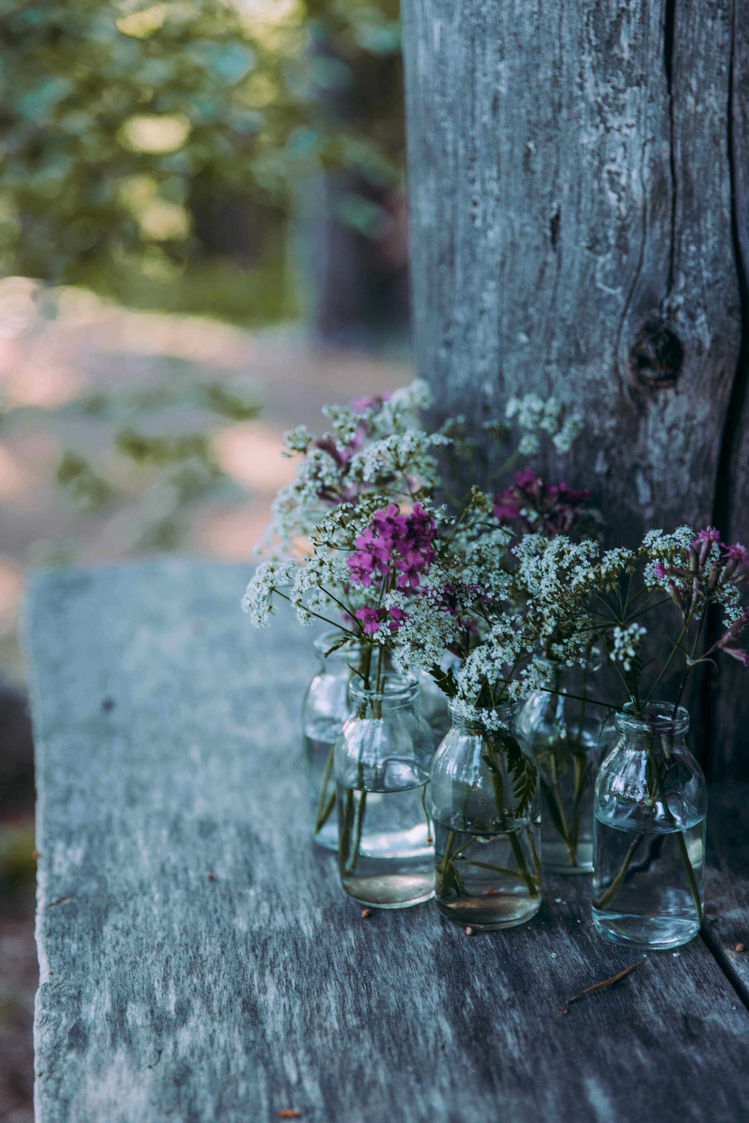 J & J. Valokuvaaja Itä-Uudellamaalla Viktoria photography