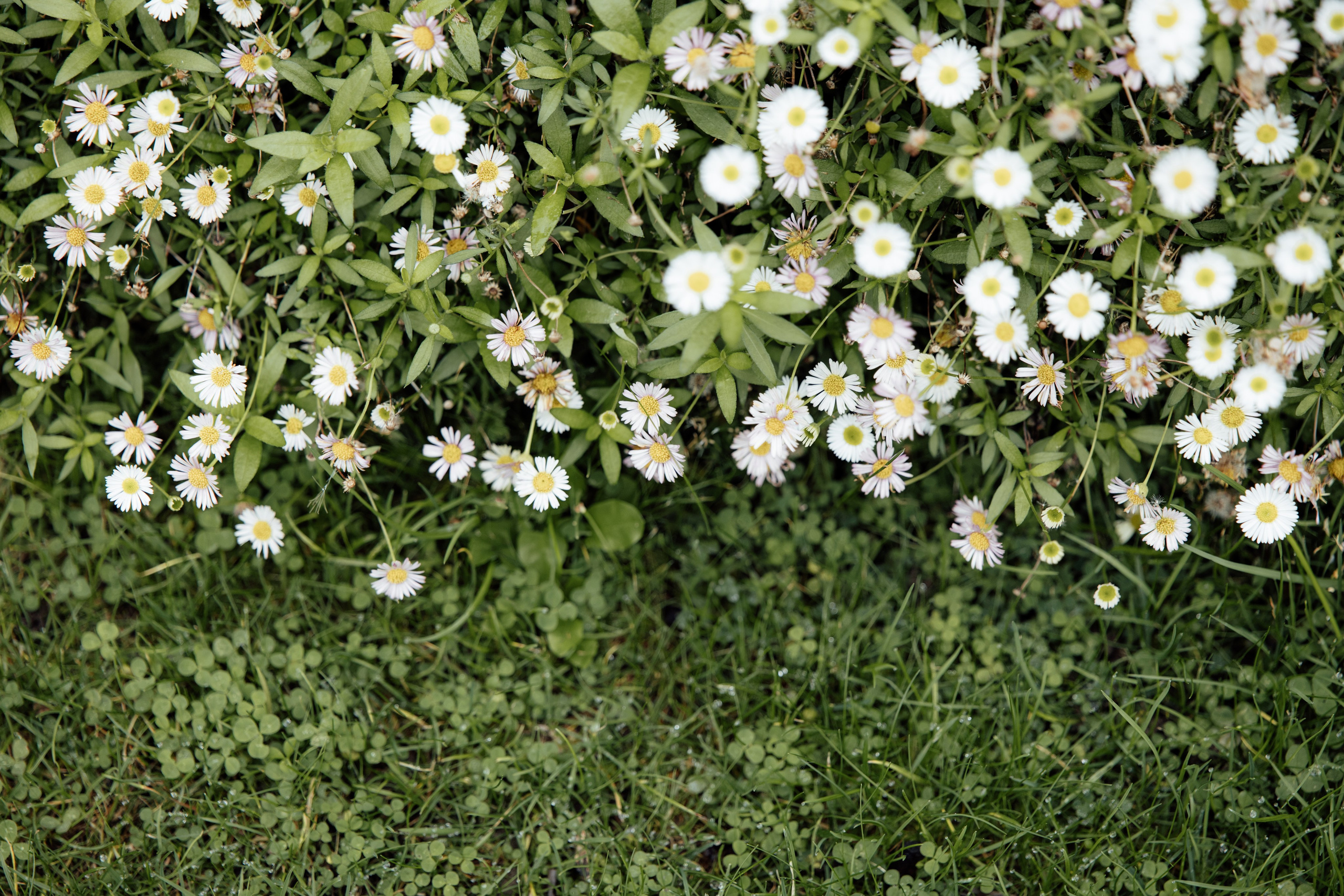 Luxury Wedding Photographer in London | Documentary & Editorial StyleElegant Editorial Wedding Photography – Candid & Timeless Moments, Authentic Wedding Storytelling – Documentary & Editorial Photographer, Cinematic & Refined Wedding Photos – Luxury Wedding Photography, Destination Wedding Photographer – Paris, London, France, Latvia, UK & Worldwide, Natural & Unscripted Wedding Moments – Documentary Wedding Photography, Fine Art Wedding Photography – Editorial Wedding Aesthetic, Luxury Wedding Photos with Soft, Timeless Edits | Editorial Touch, Bespoke Wedding Photography – Candid & Authentic Love Stories, Elegant & Romantic Wedding Photography – Stylish & Timeless Memories, LIGA KALNINA Documentary editorial wedding photography