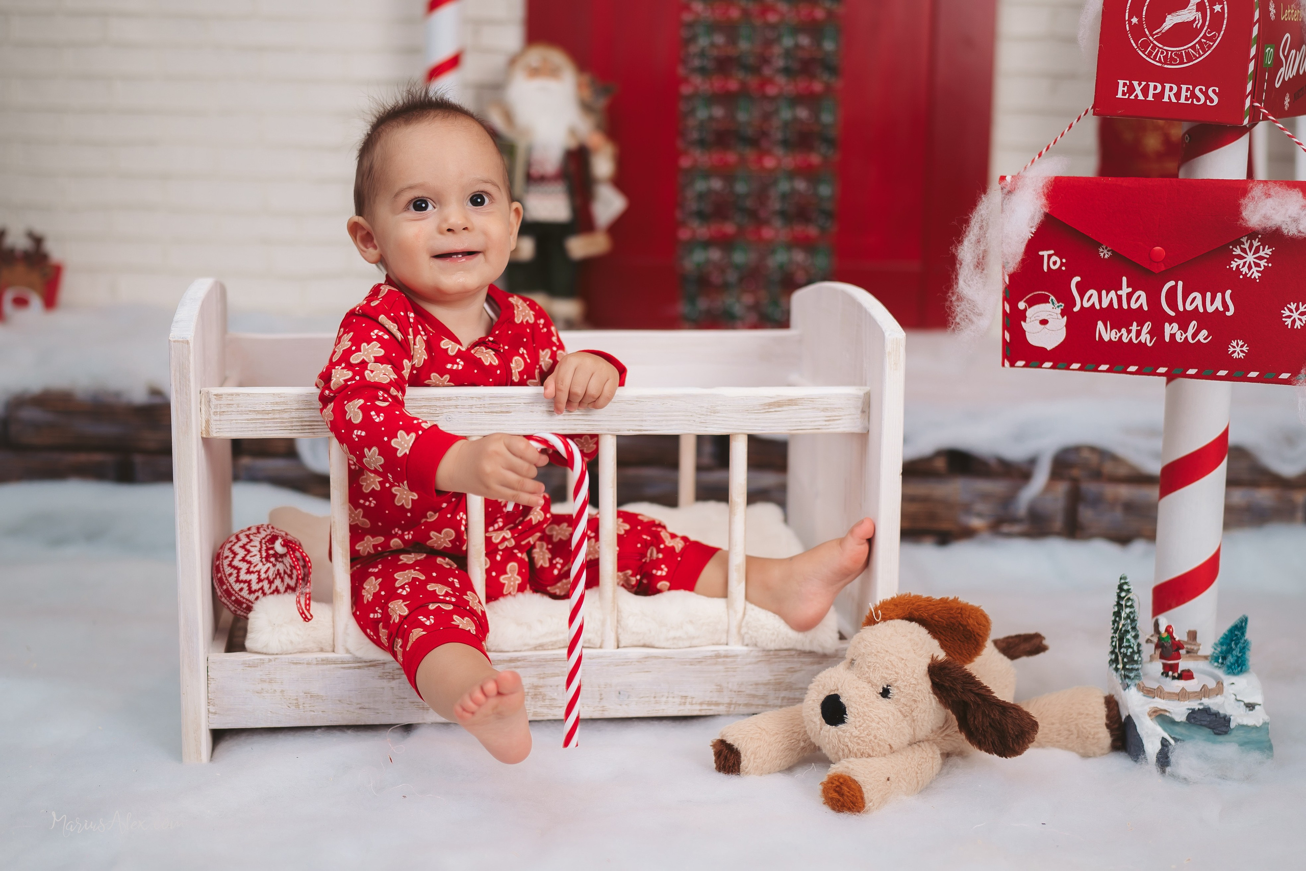 Familia Hacman - Un Crăciun de poveste. Marius Alex fotograf de eveniment si portret din Suceava