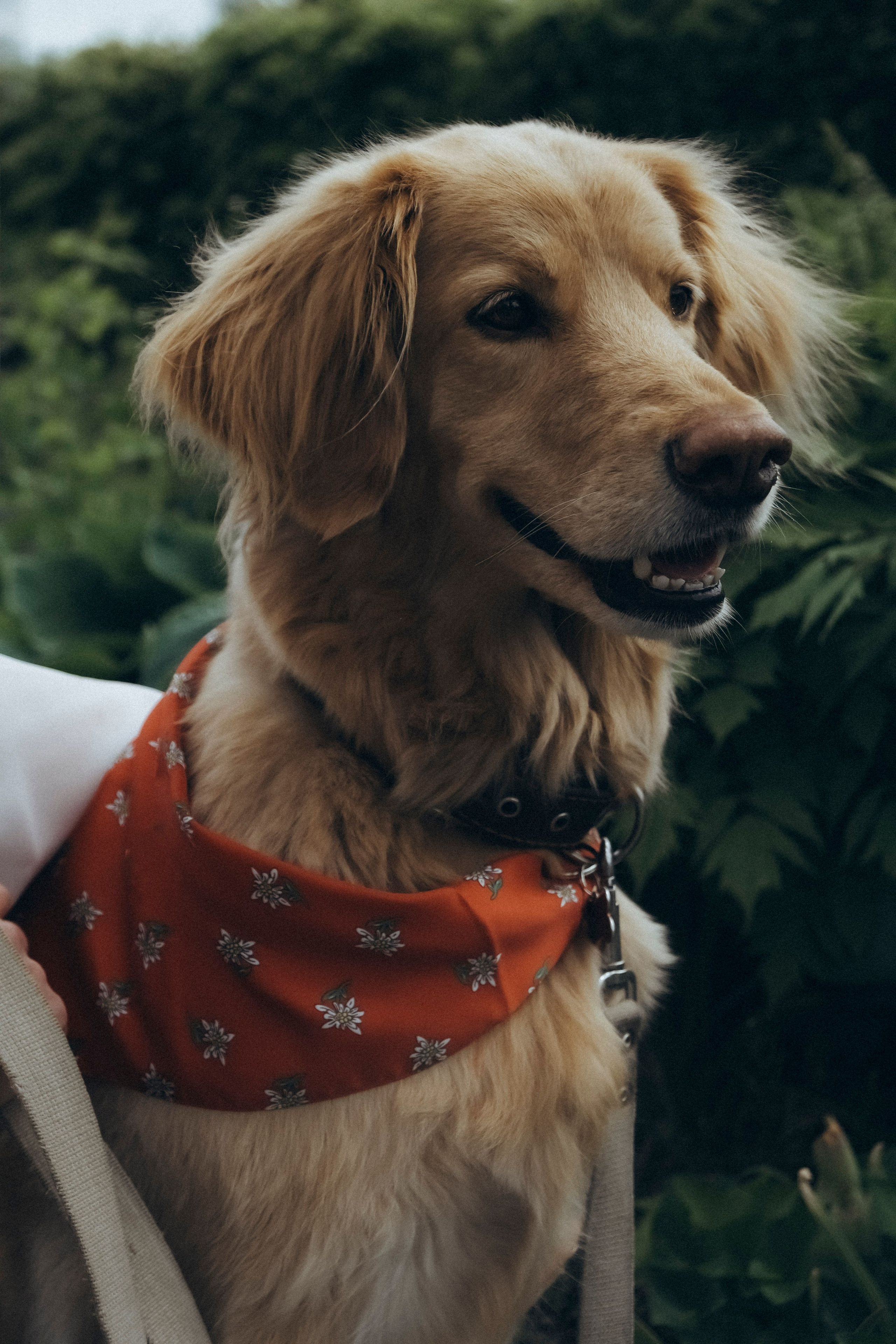 Three generations & one tail. Фотографы Минск и мир