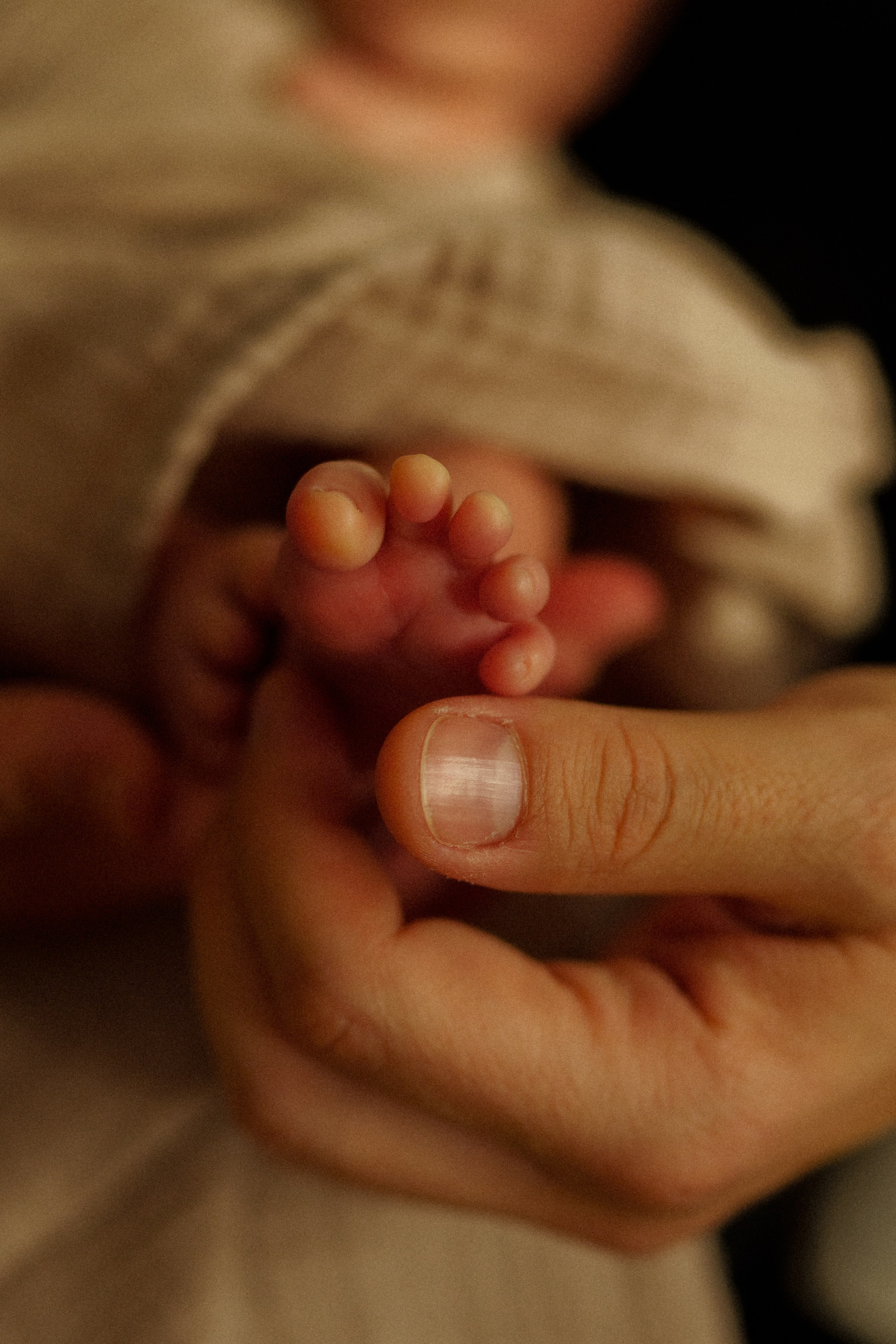 Katerina Sellitti - Newborn Fotografin aus Bern. Schweiz