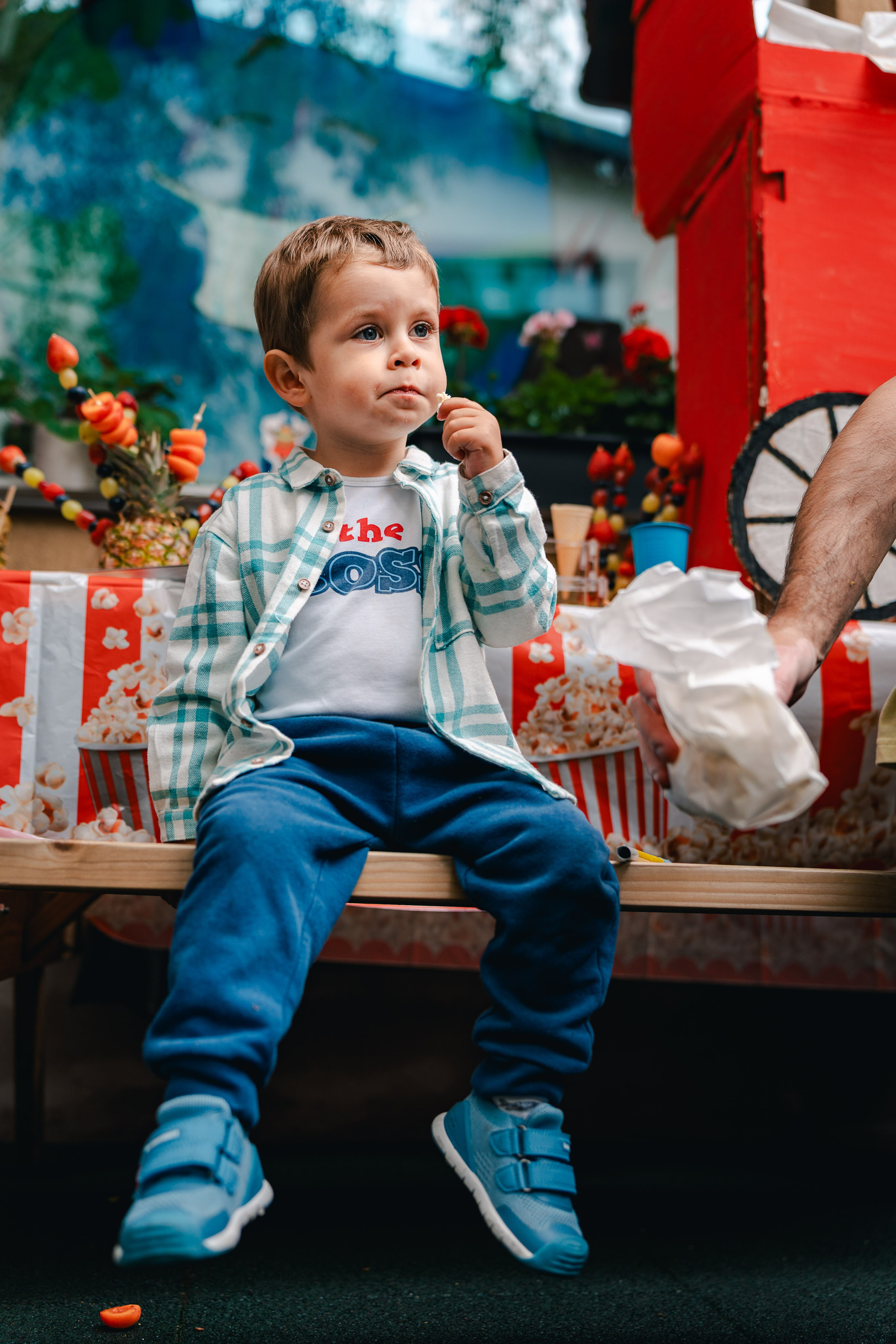Miniterra Carusel. Liviu Andrei - Fotograf