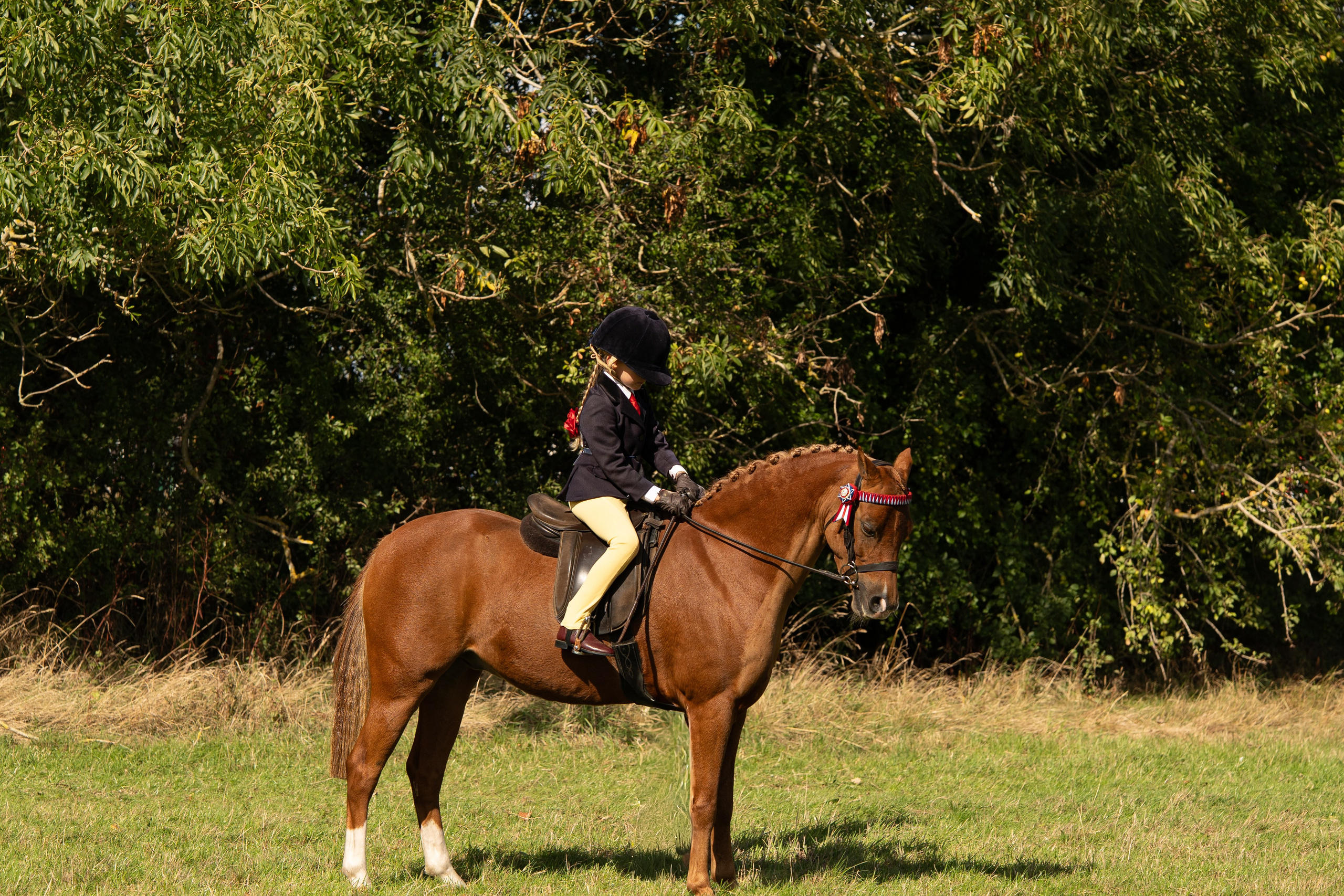 Show Jumping Photography in Leicestershire | Equine Action Shots by El. Leicestershire Equine Photography by El | Authentic Equine Portraits & Events