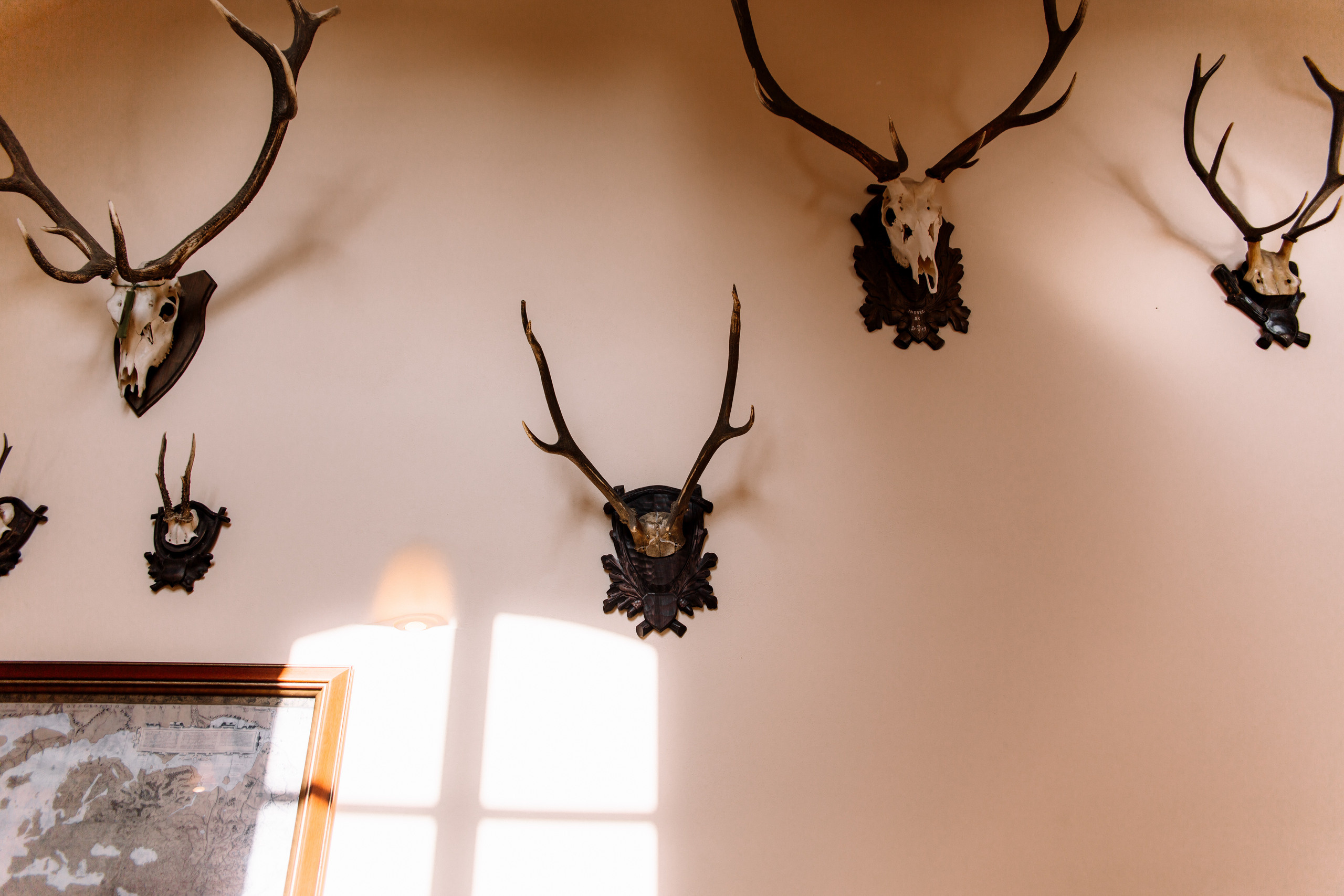 T&O wedding. Wedding and portrait photographer in Poland Vitali Frozen