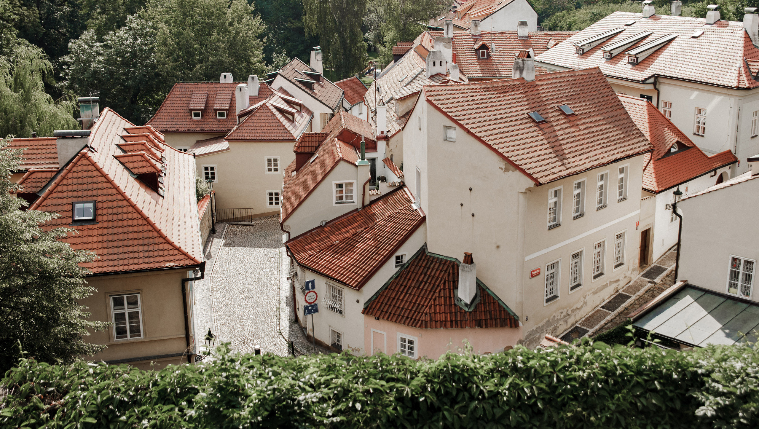 T&O wedding. Wedding and portrait photographer in Poland Vitali Frozen