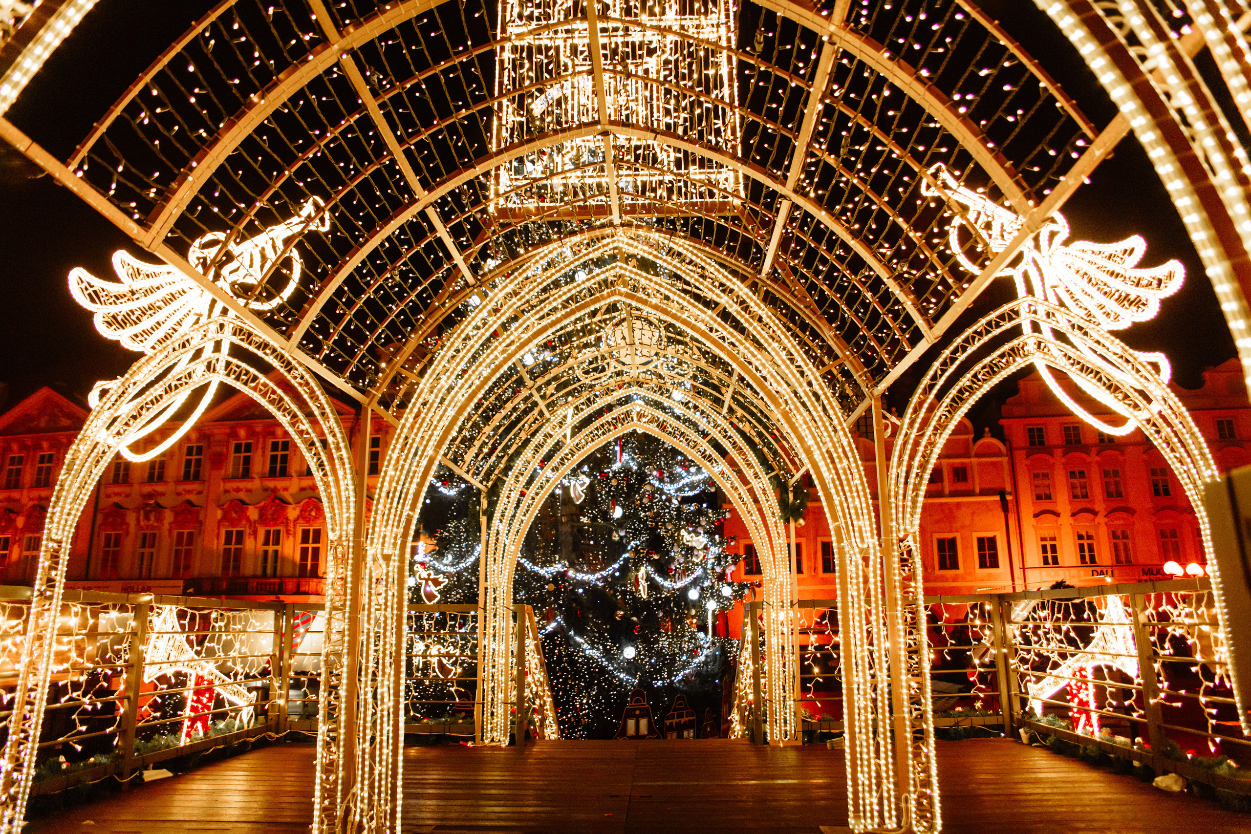 Christmas elopement of a couple in Prague. Wedding and portrait photographer in Poland Vitali Frozen