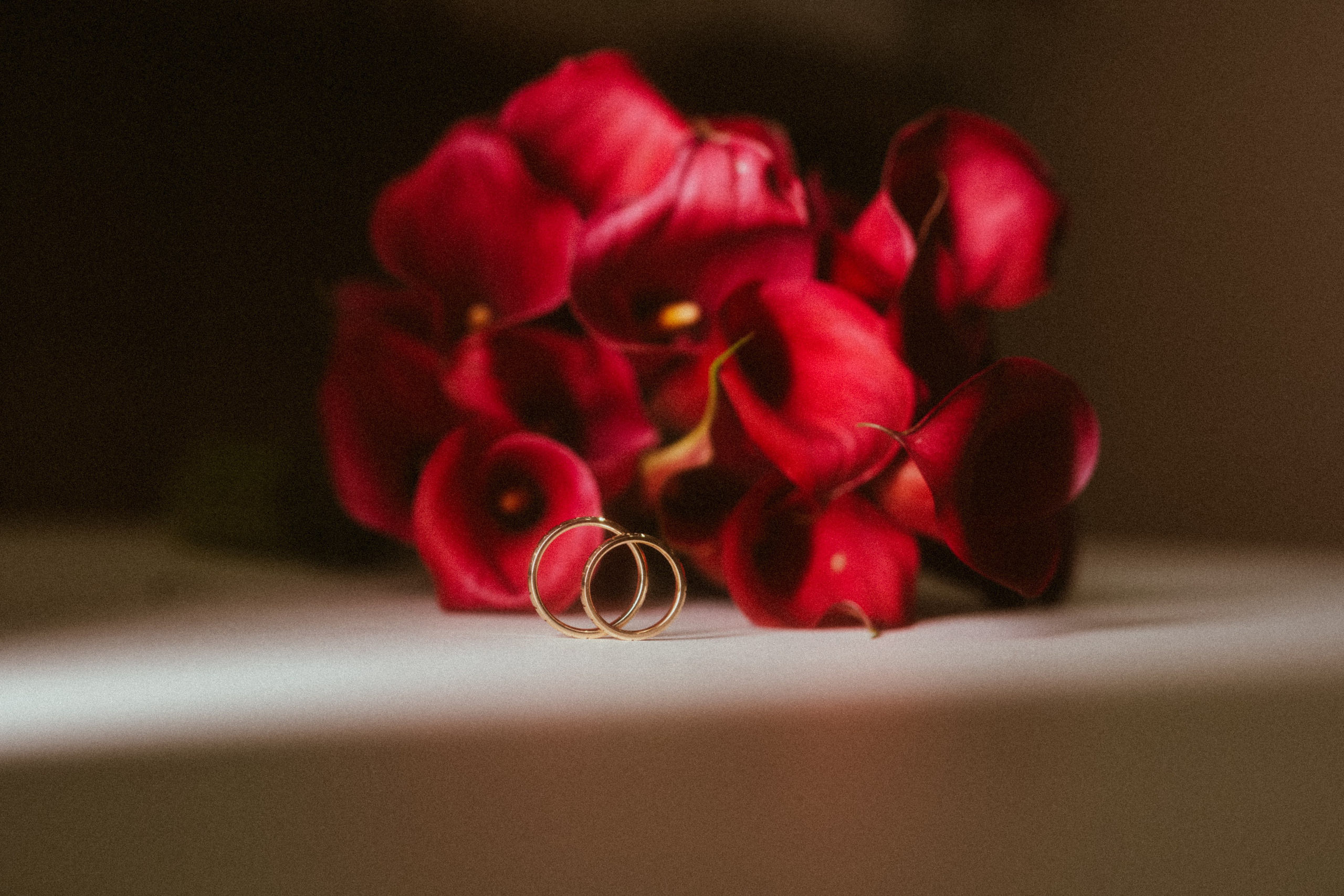 Adina - Tedi | Ramnicu Valcea