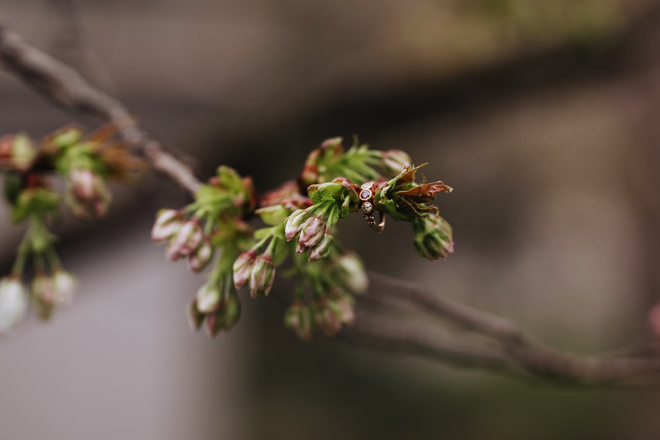 Love story near Big Ben, London. Wedding and family photographer in London