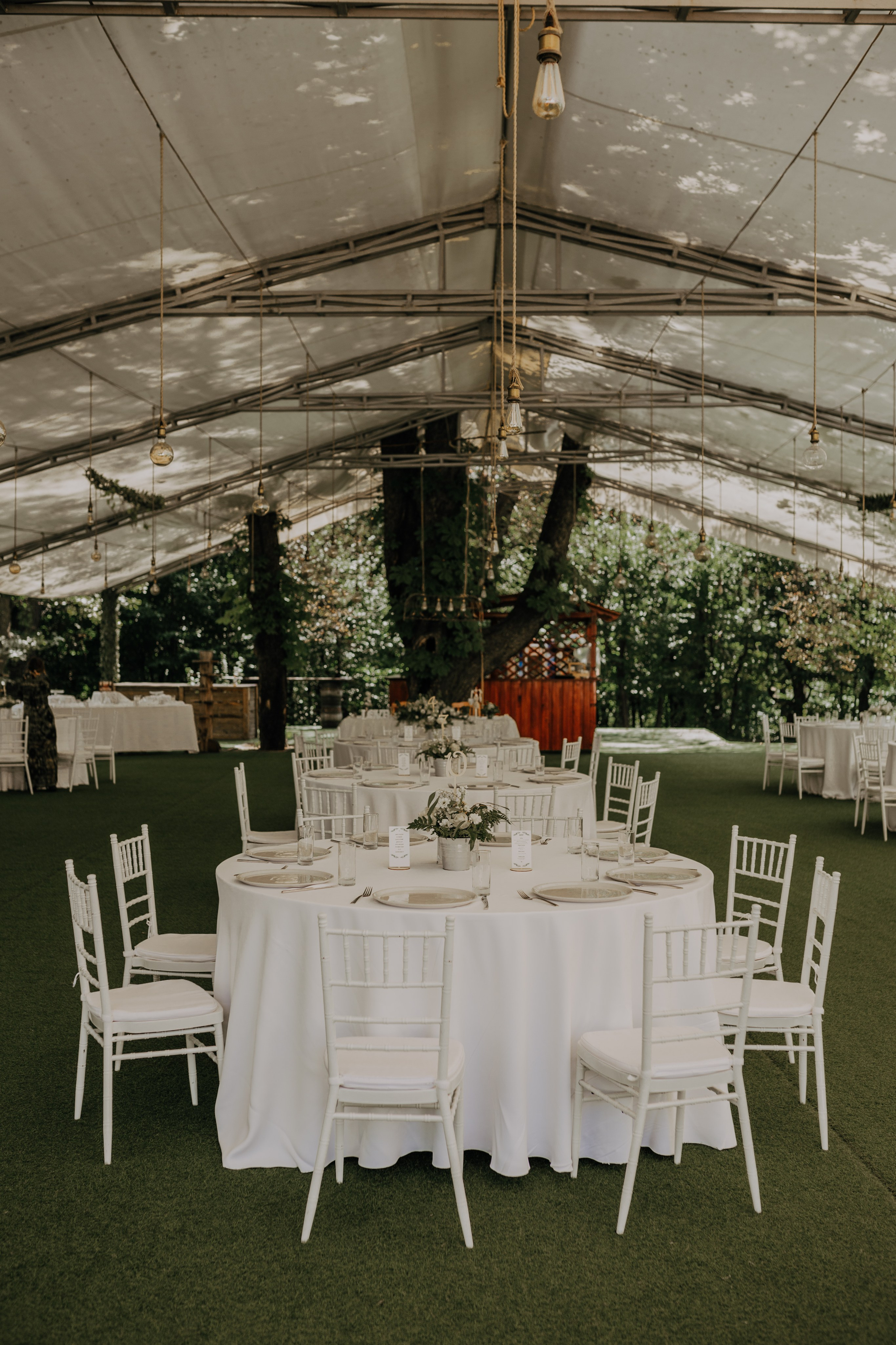 A & D. Fotograf Nunta Iasi - Hearts & Pictures