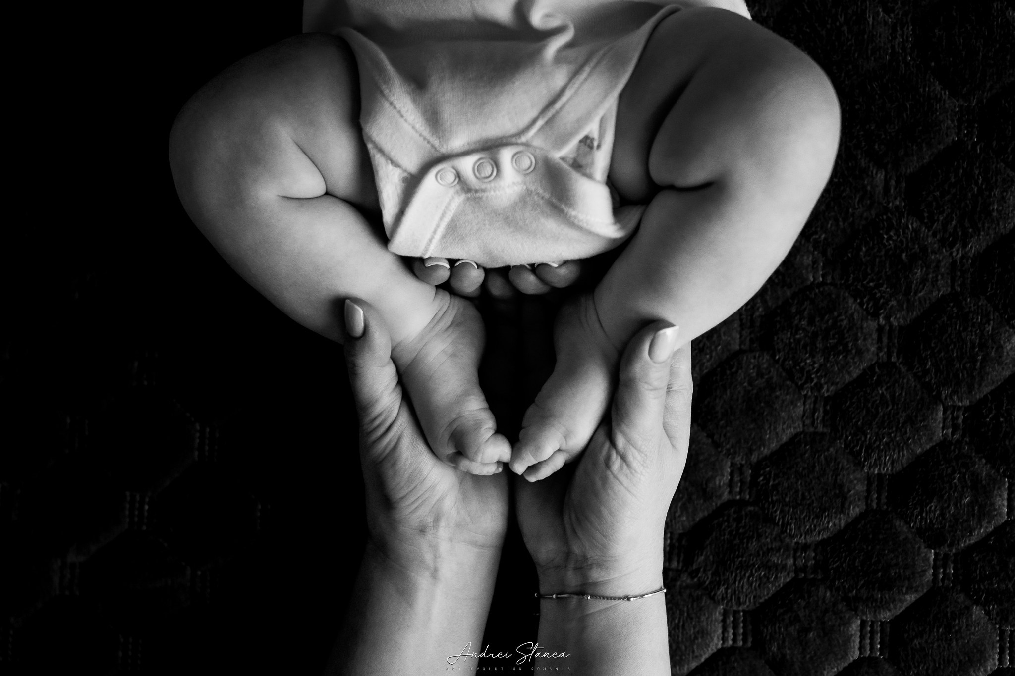 Clara. Andrei Stanea