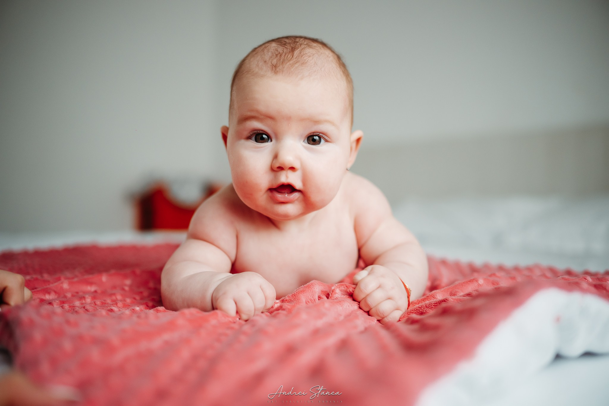 Zenayda. Andrei Stanea