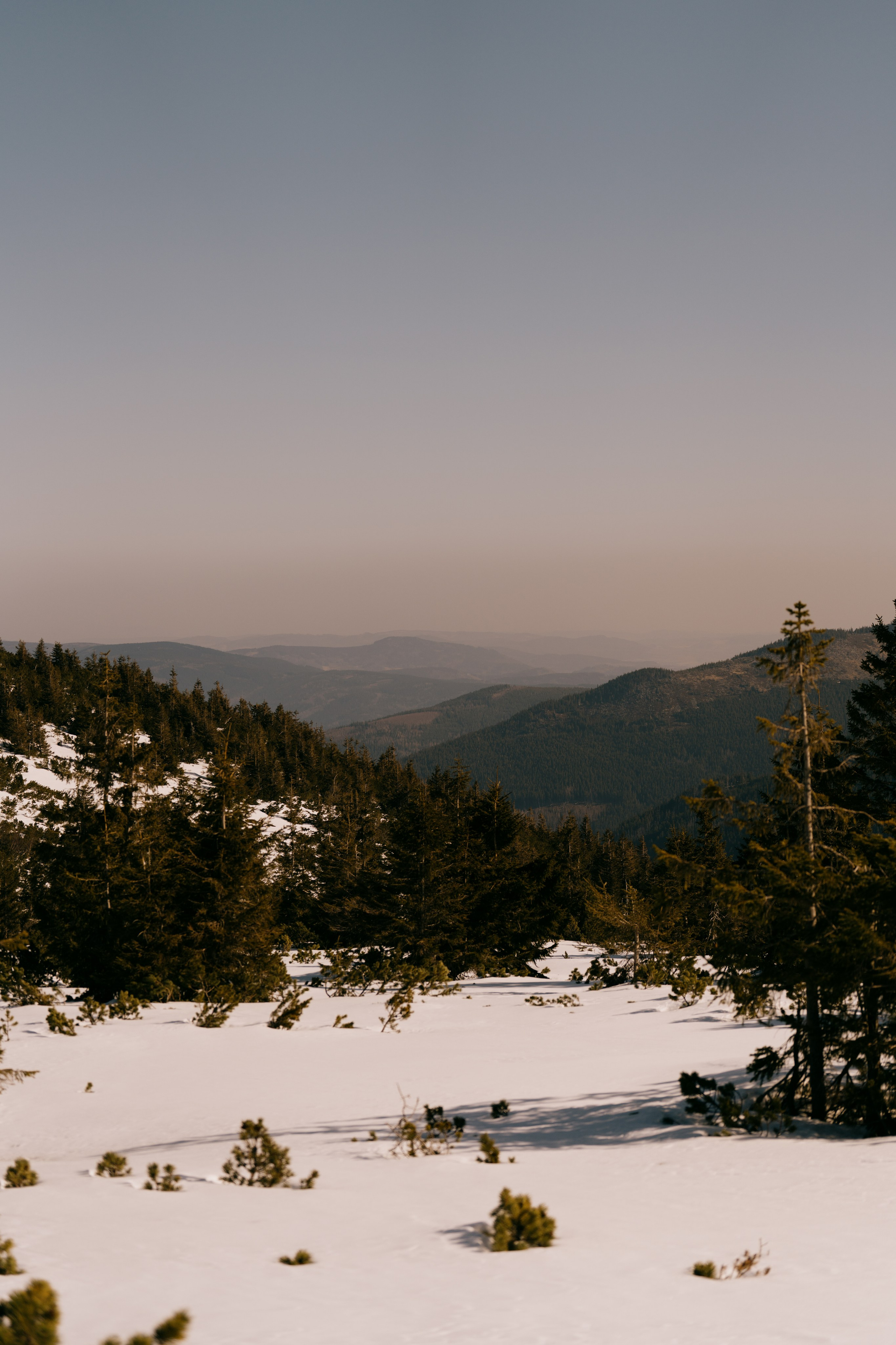 Landscape. Fotograf Poznan