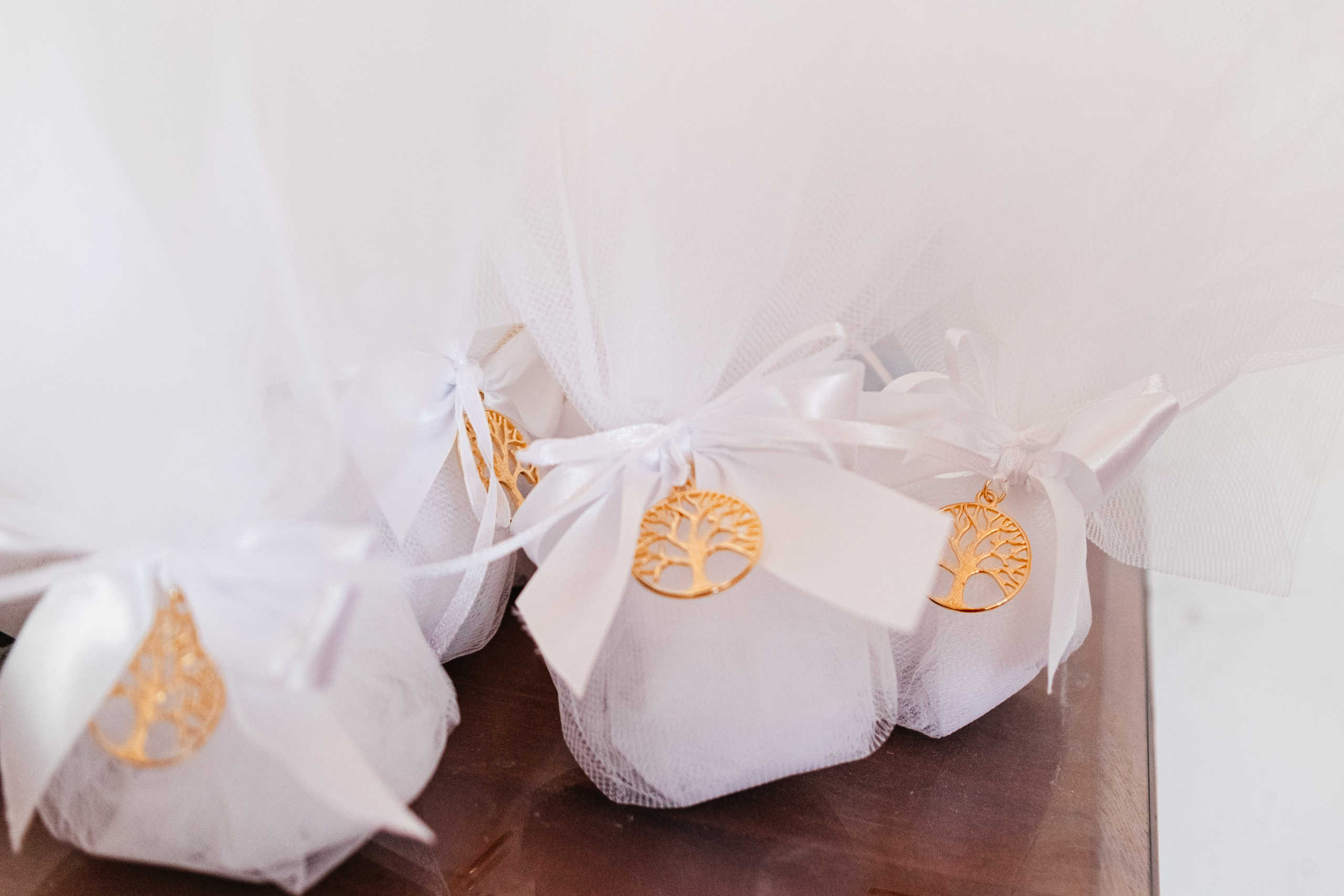 Wedding photoshoot in Germasoya municipality, Limassol, Cyprus