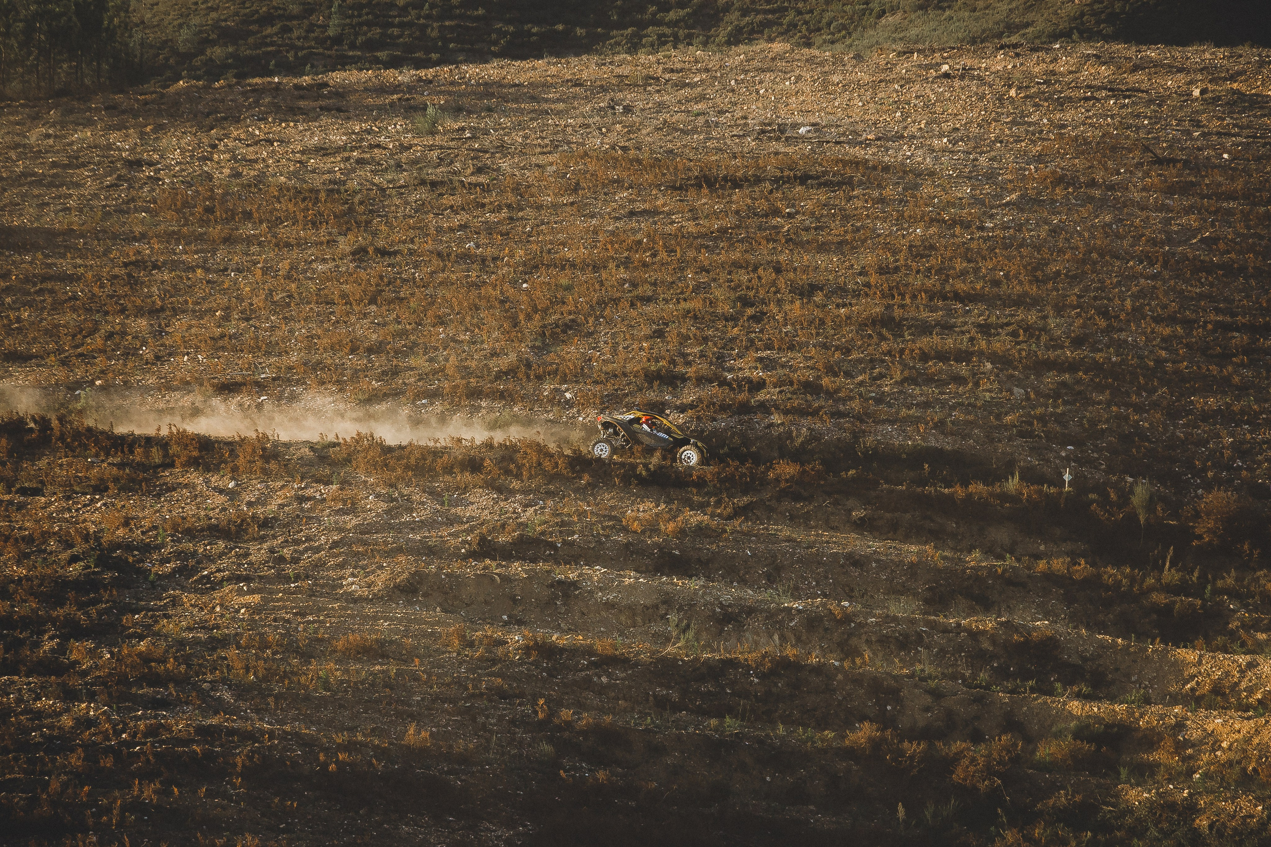 Reportage sport. Wedding photographer and videographer Europe