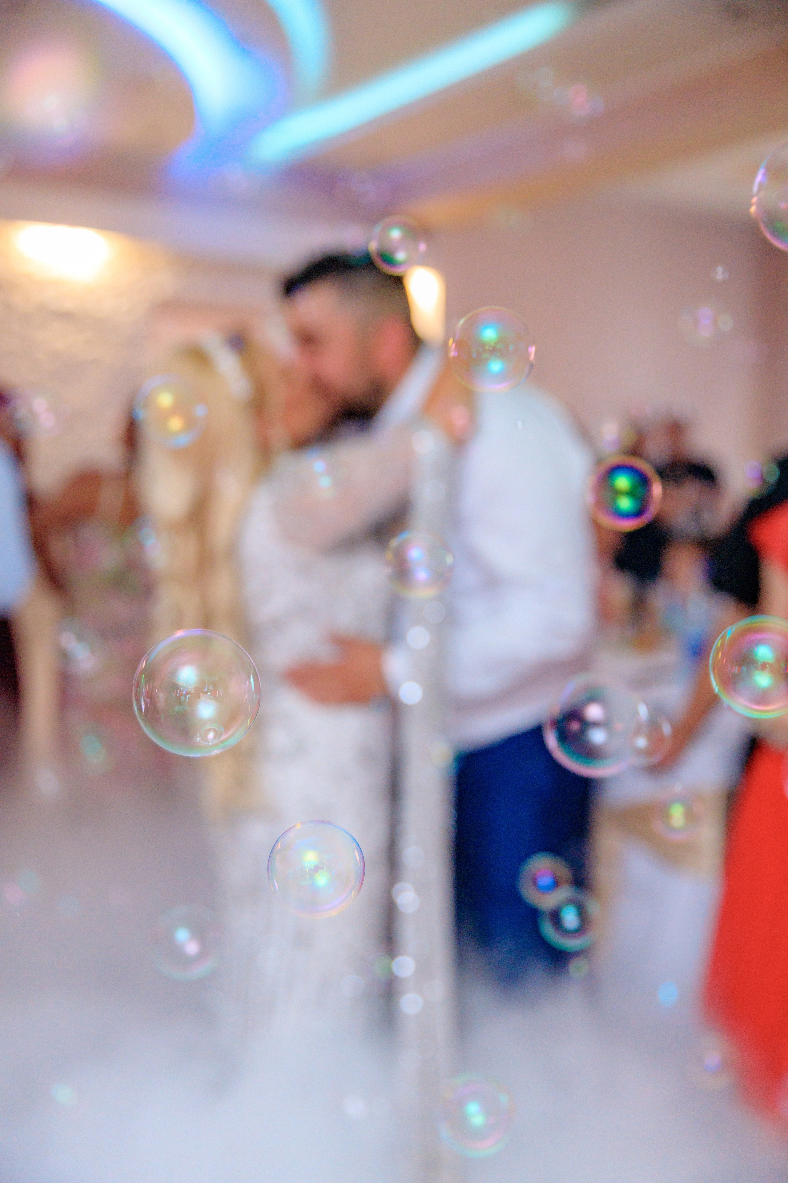 Nina & Bojan. Marko Tucić Photography | Fotograf Zrenjanin