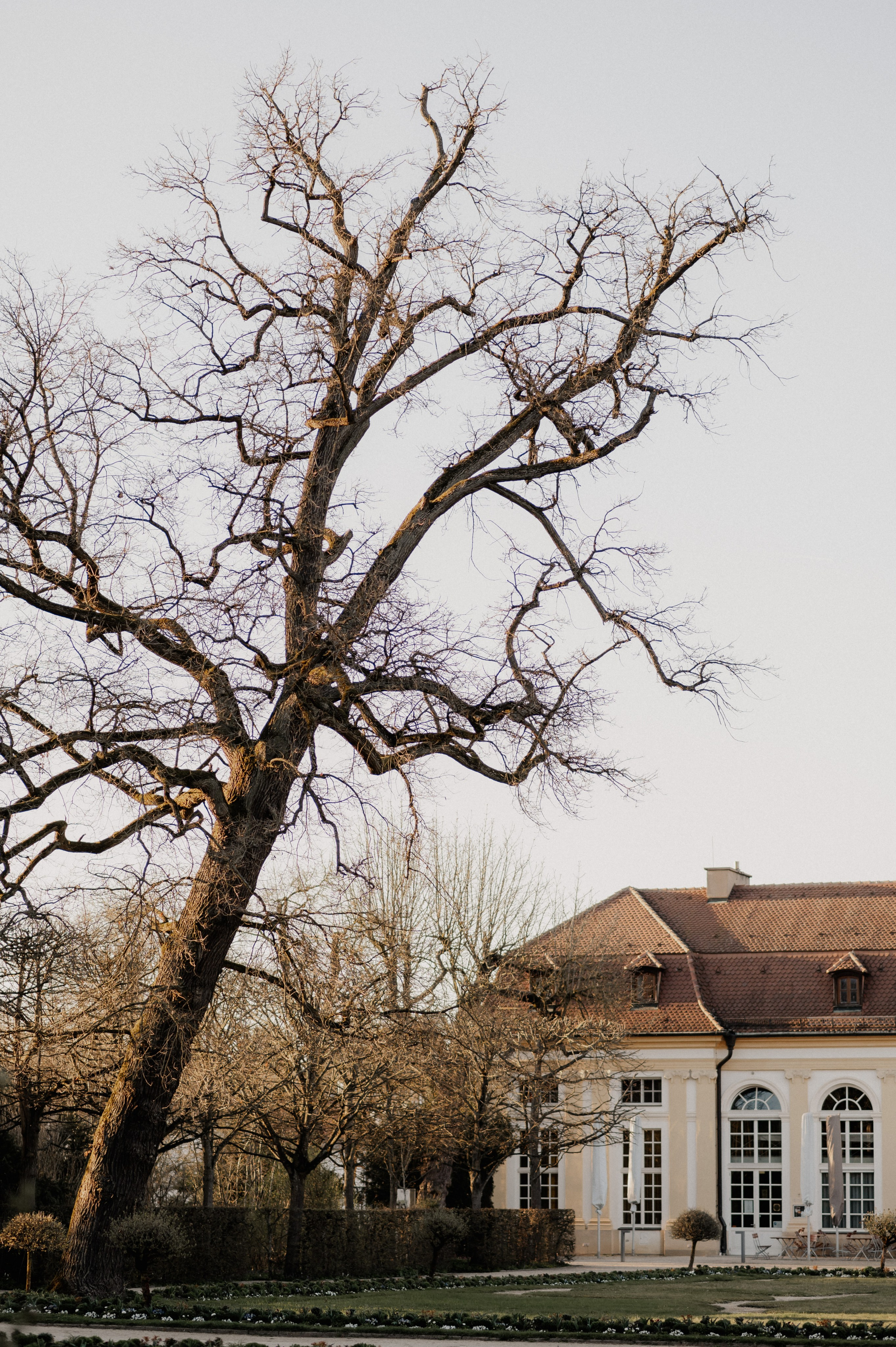 Hofgarten Ansbach im Frühling.