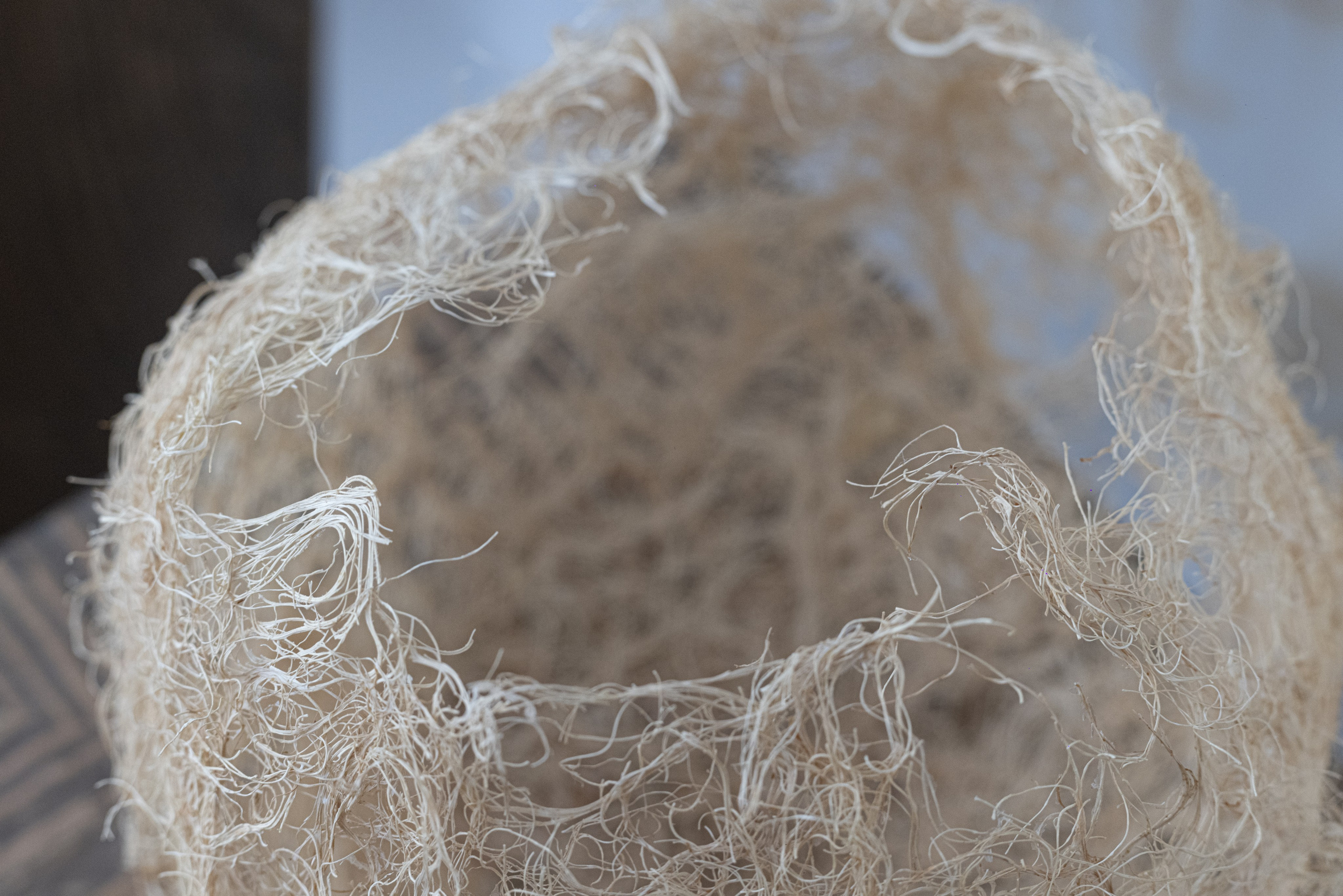 « Évolution de l’archaïque ». Natalia Bogdanovska. Films et photographie corporate en France