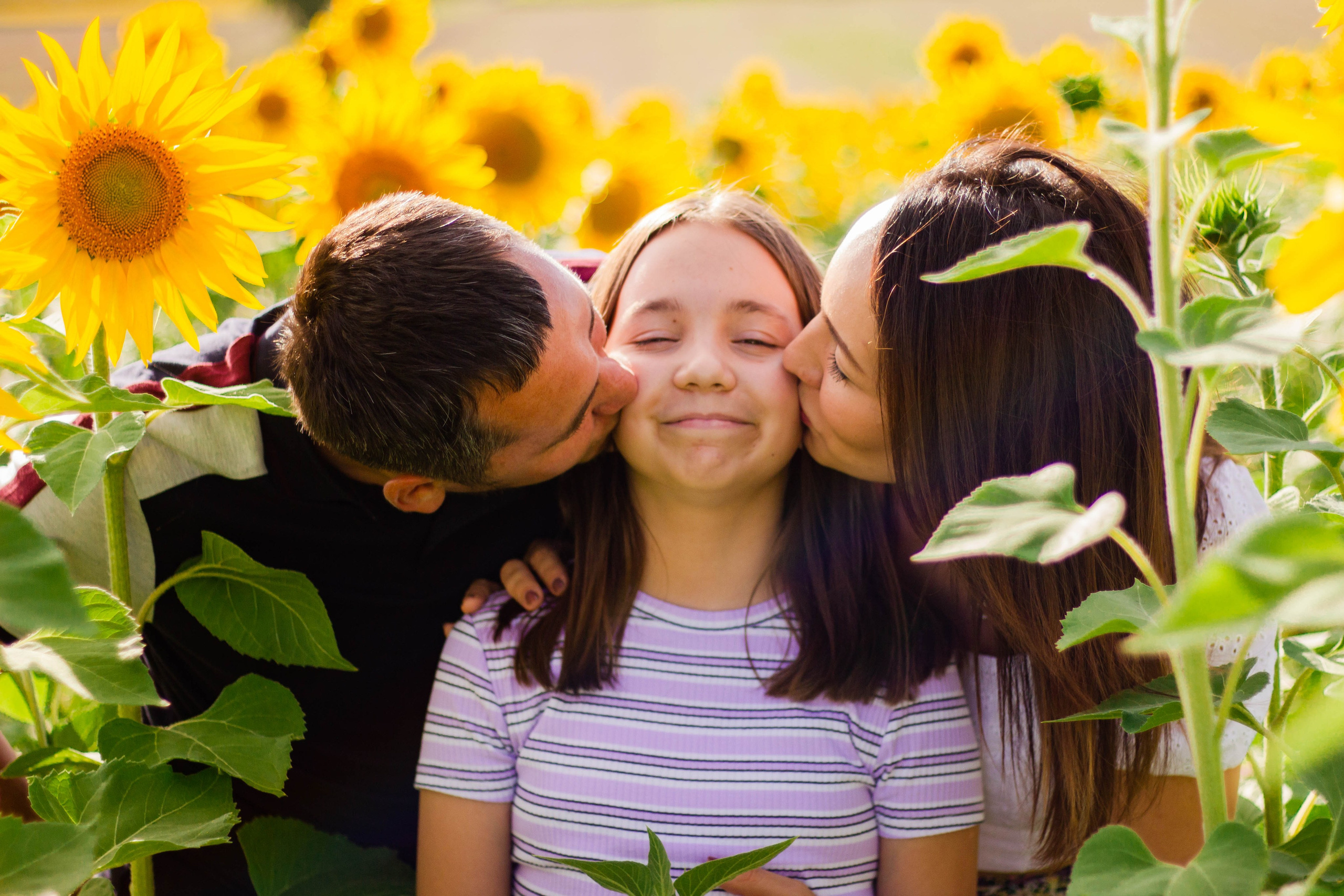 Photo de famille dans un champ de tournesols – maman et papa embrassent leur fille