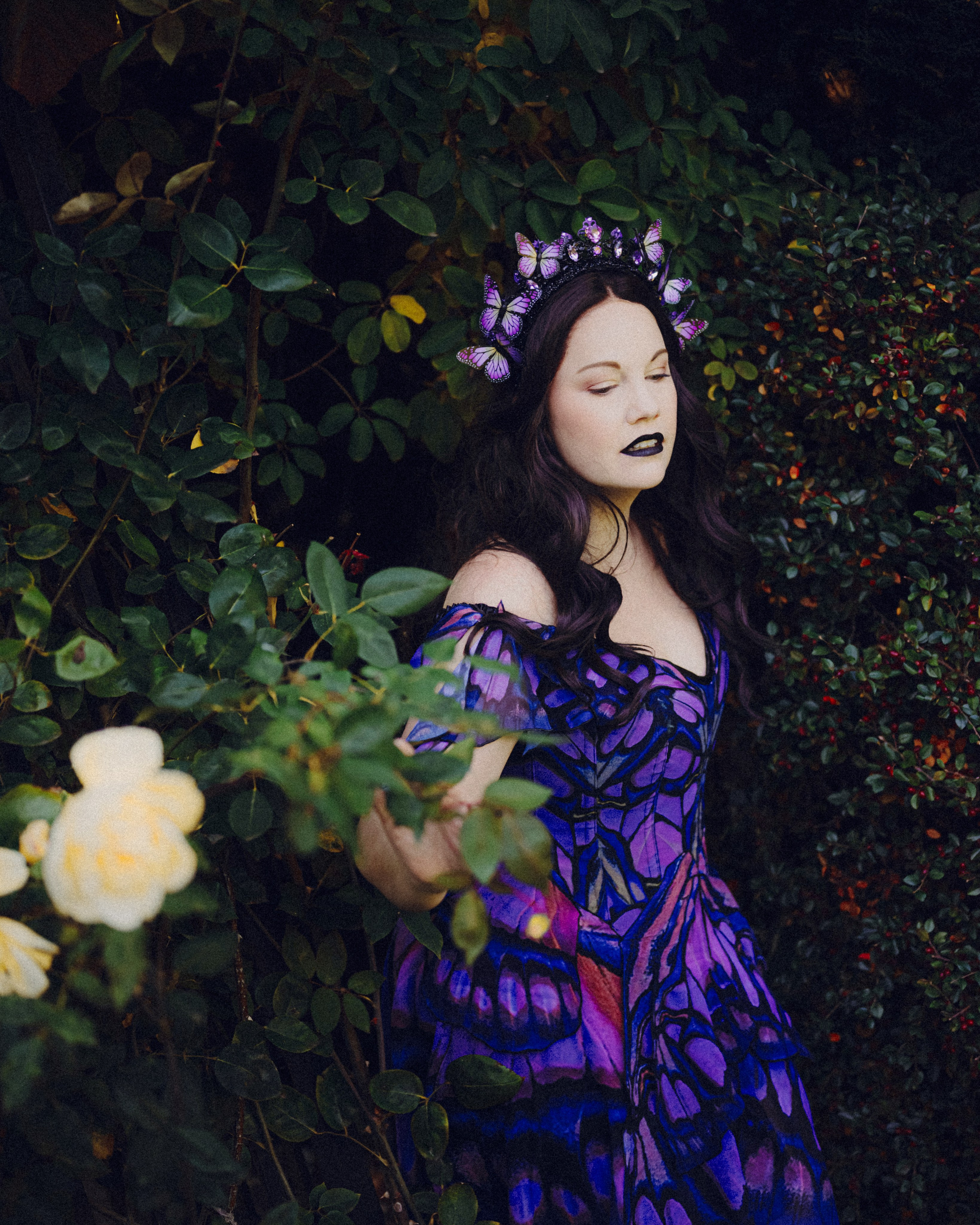 Butterfly purple fairy in a blooming garden. Moth & Moss Photography