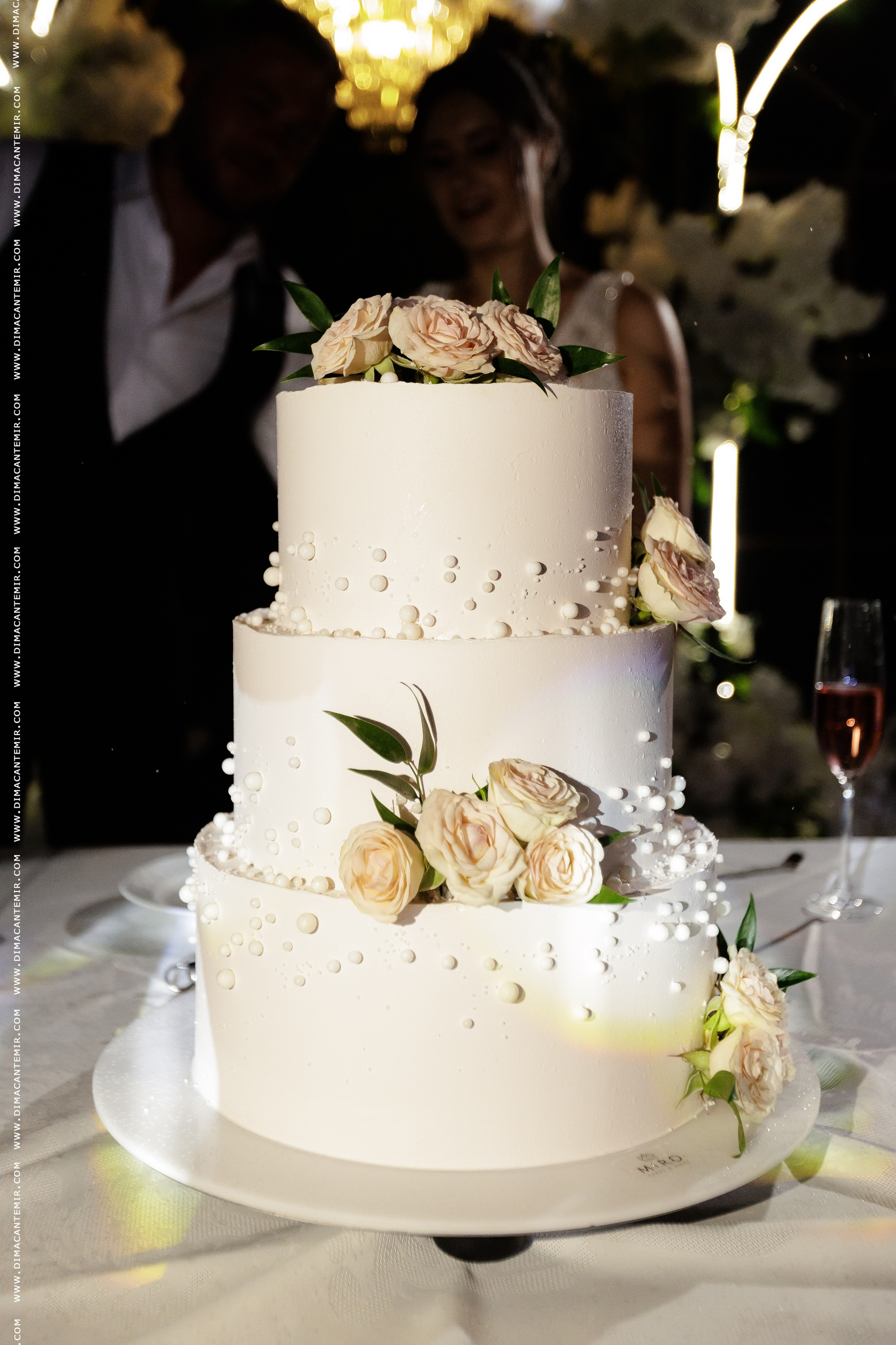 TUDOR & ALIONA | Gril Parc. Fotograf de nuntă în Chisinau, Moldova. Poze și Video Comerciale