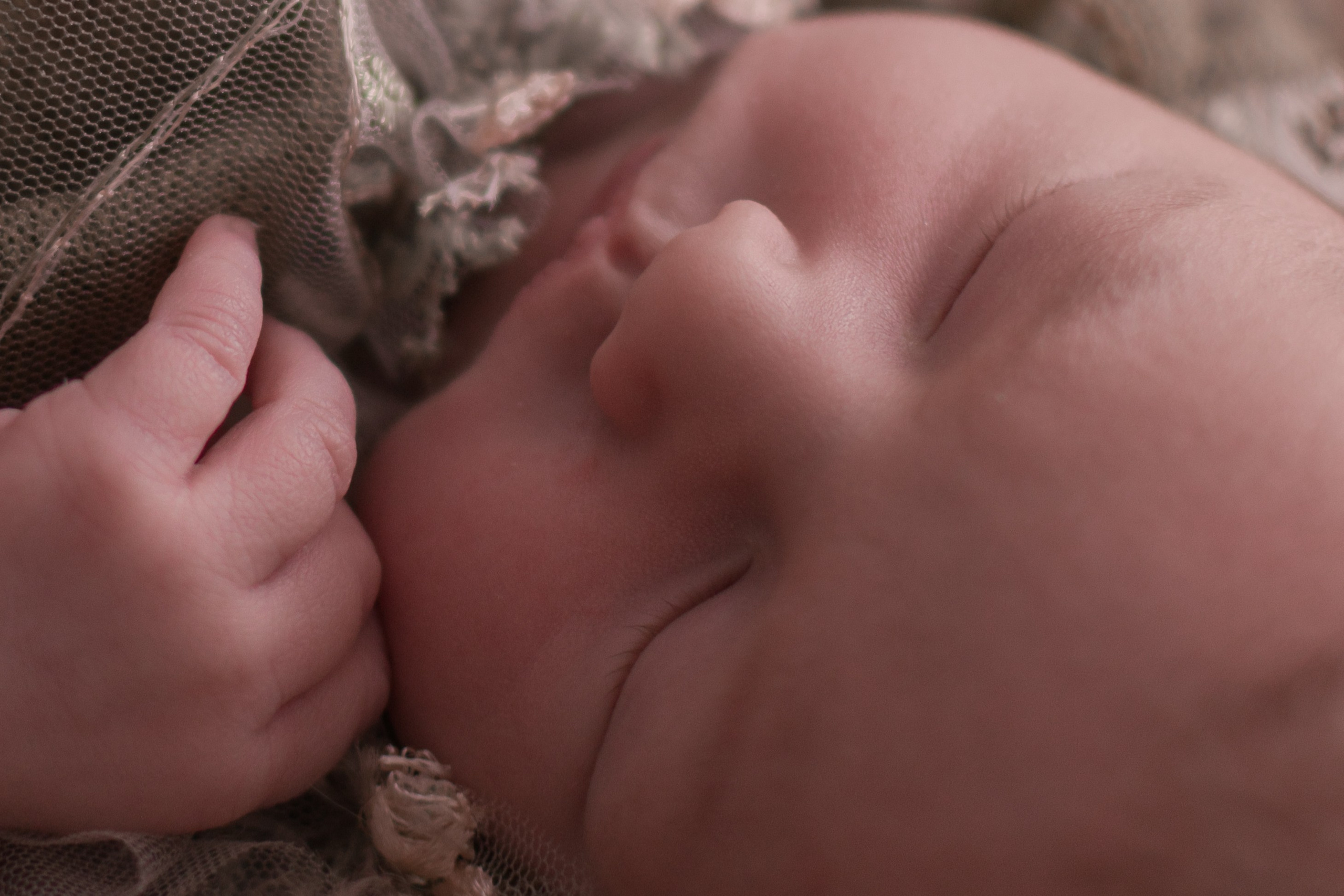 Emmi. Maternity Newborn and Family photographer Hamburg Claire Hambley