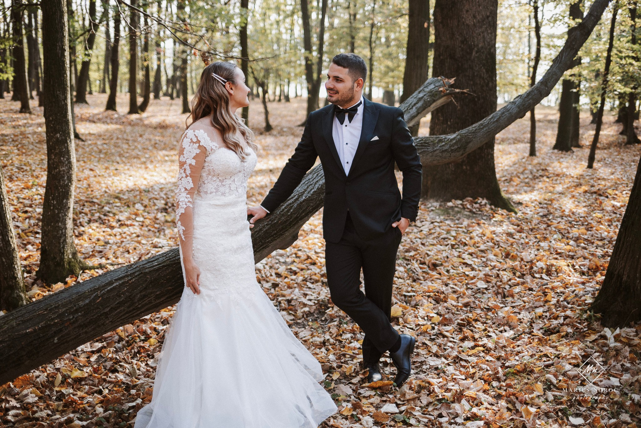 Alexandra & Laurentiu | Padurea Bucium Iasi